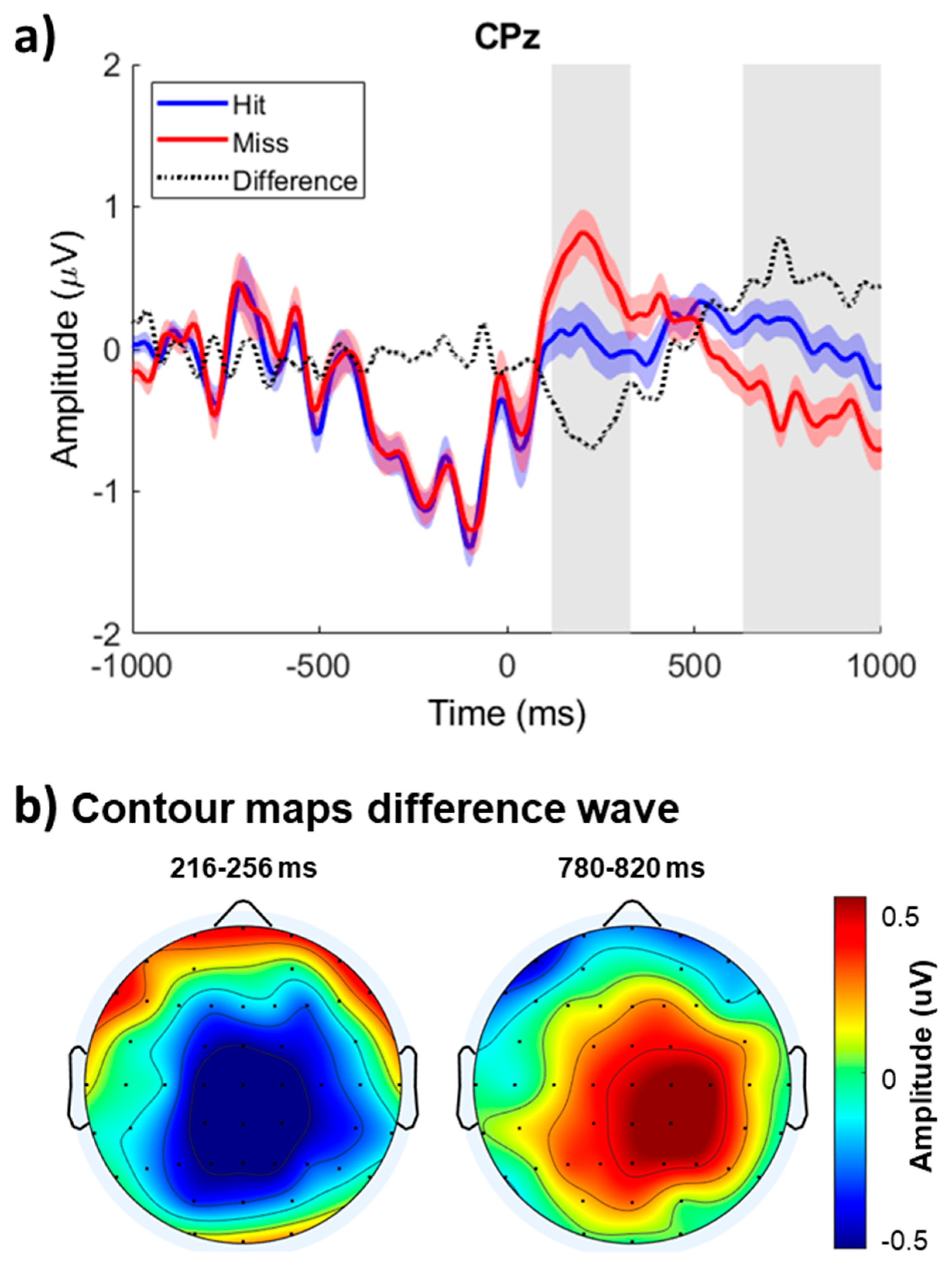 Brainsci 15 00537 g002