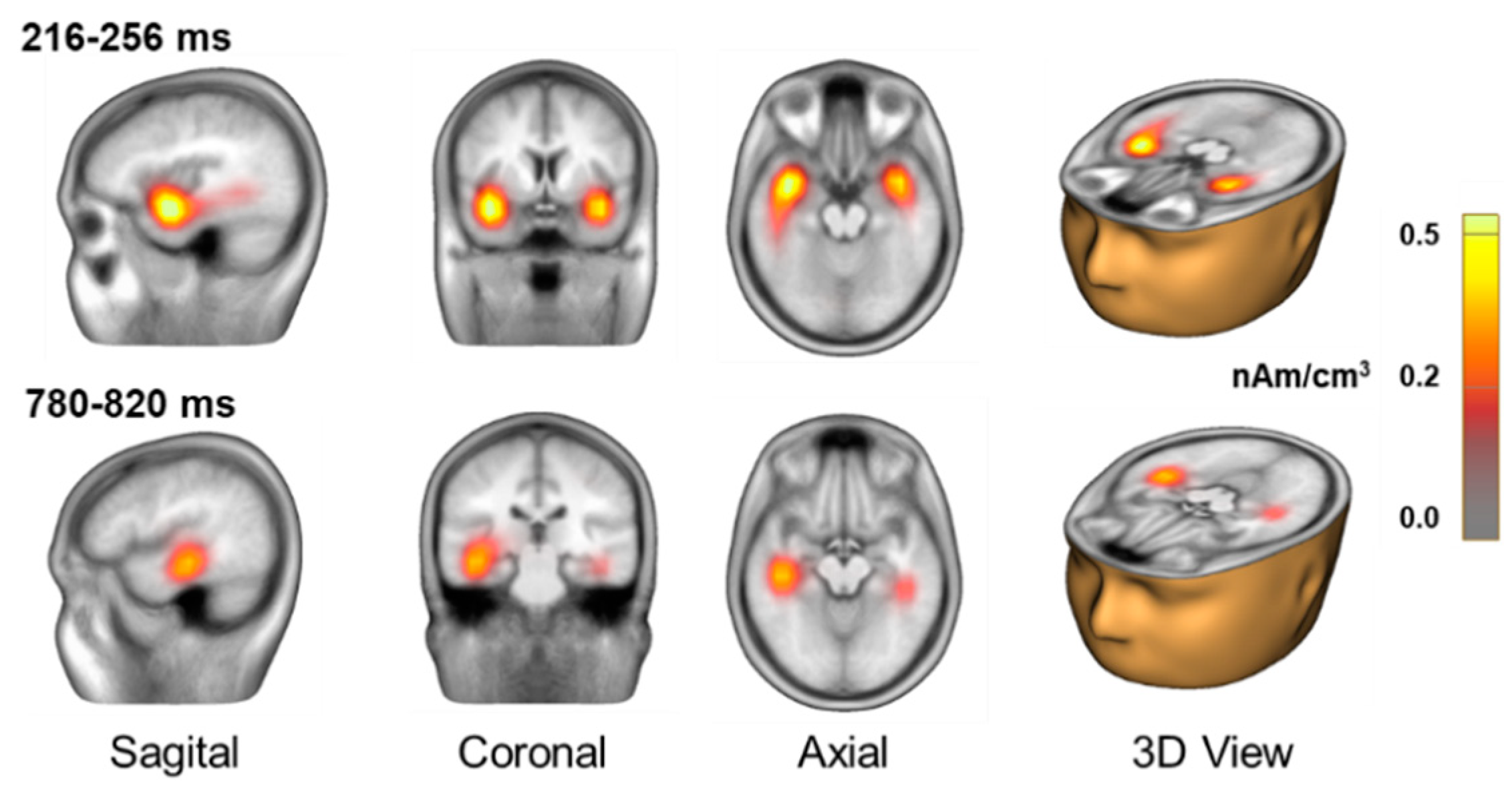 Brainsci 15 00537 g003
