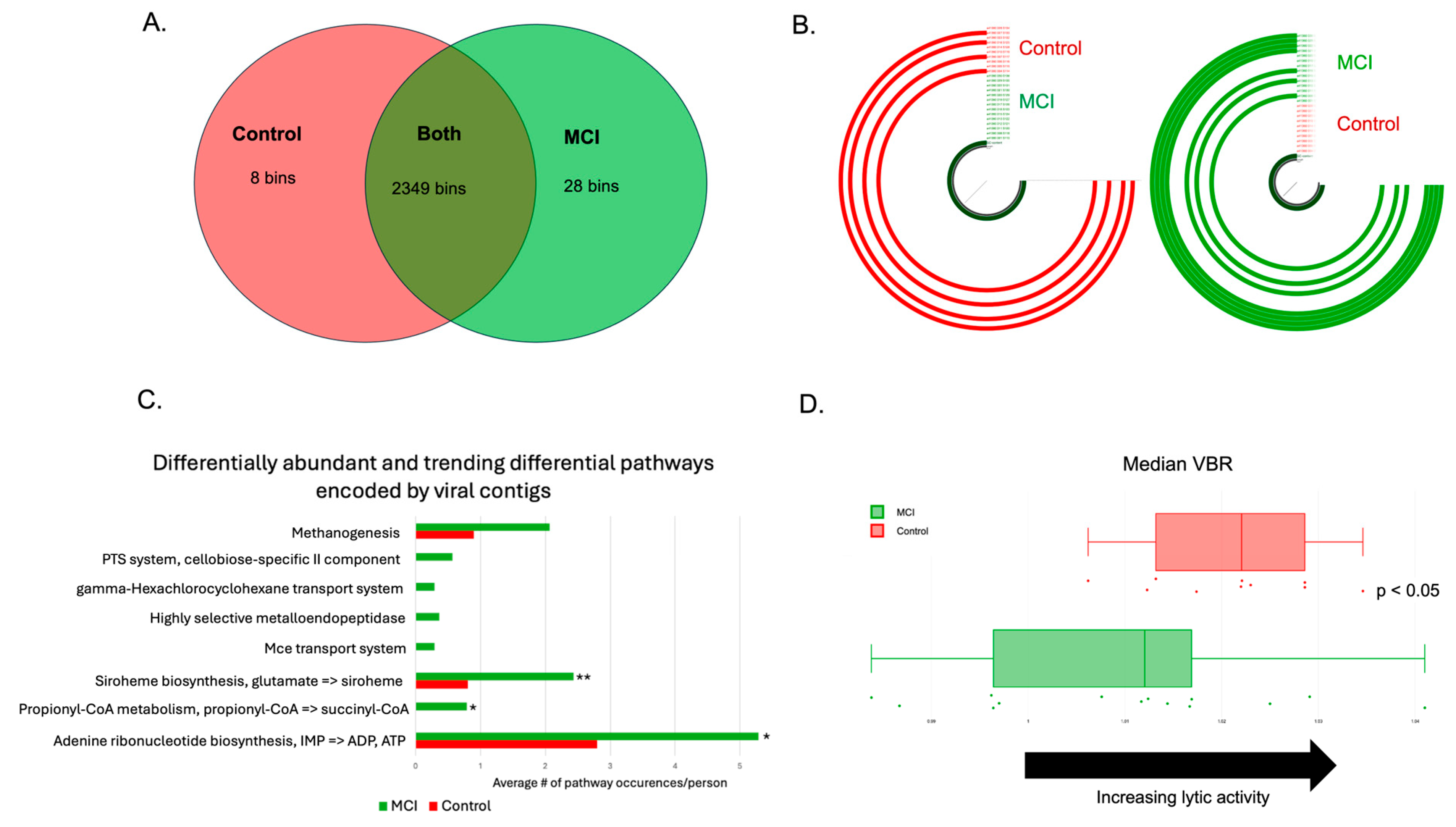 Brainsci 15 00538 g005