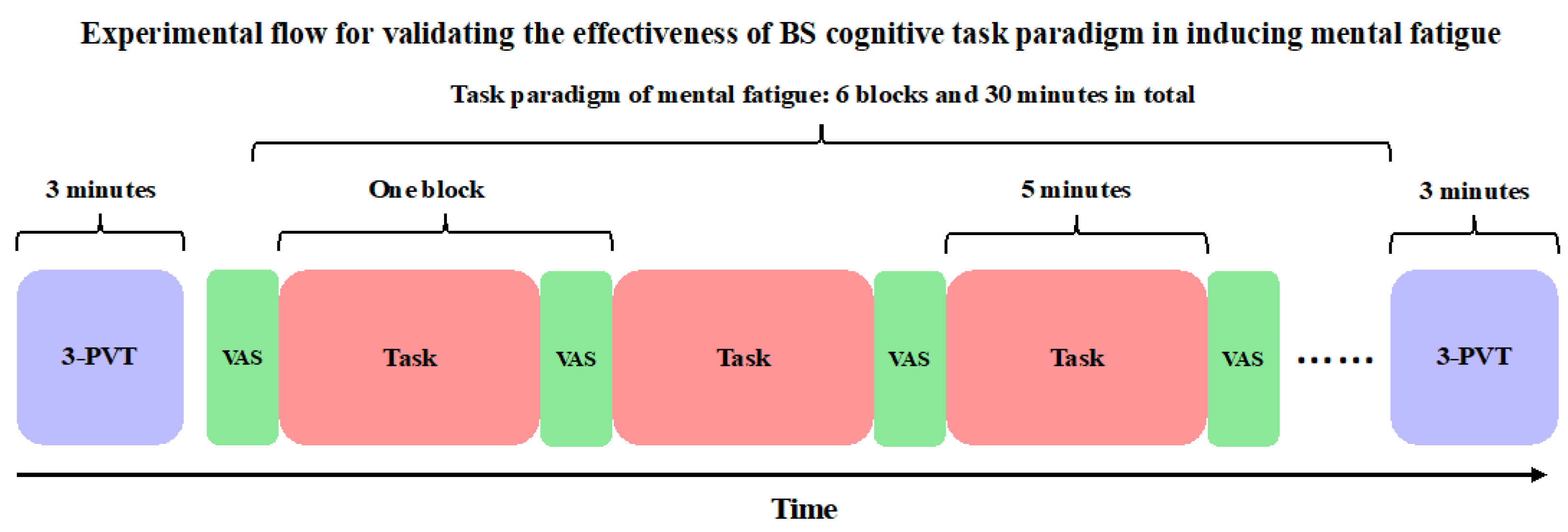 Brainsci 15 00541 g002