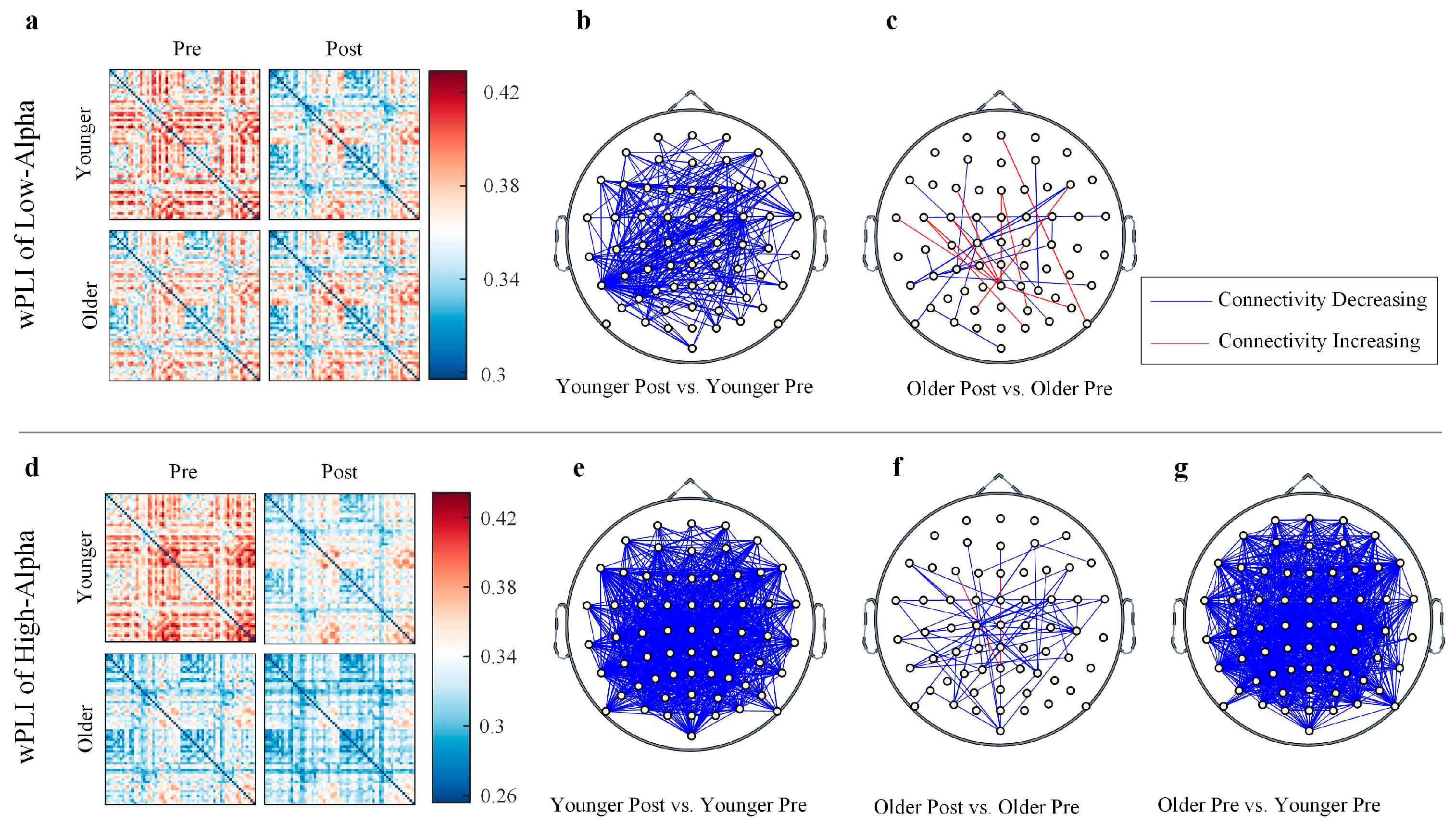 Brainsci 15 00546 g004