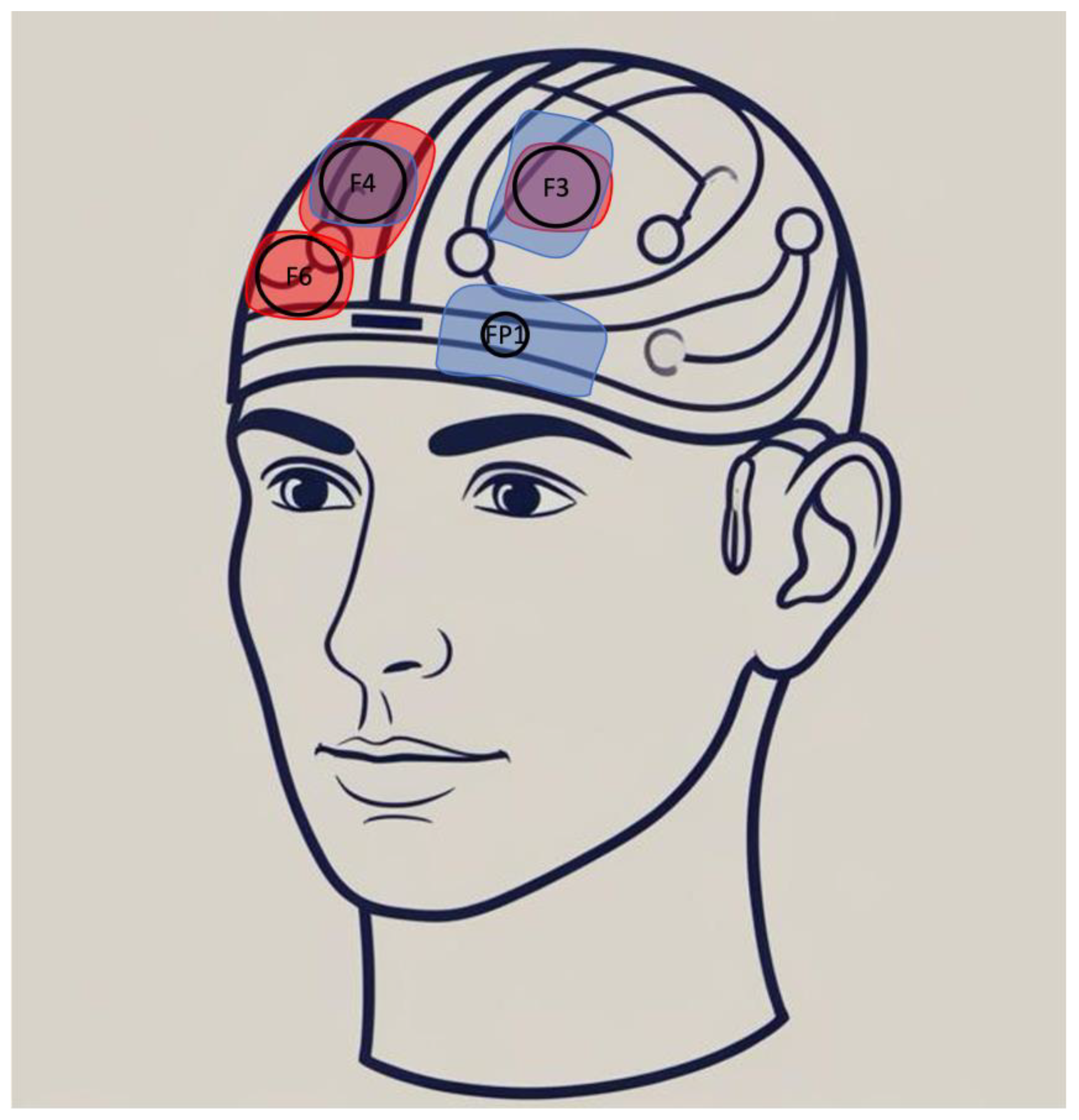 Brainsci 15 00547 g001