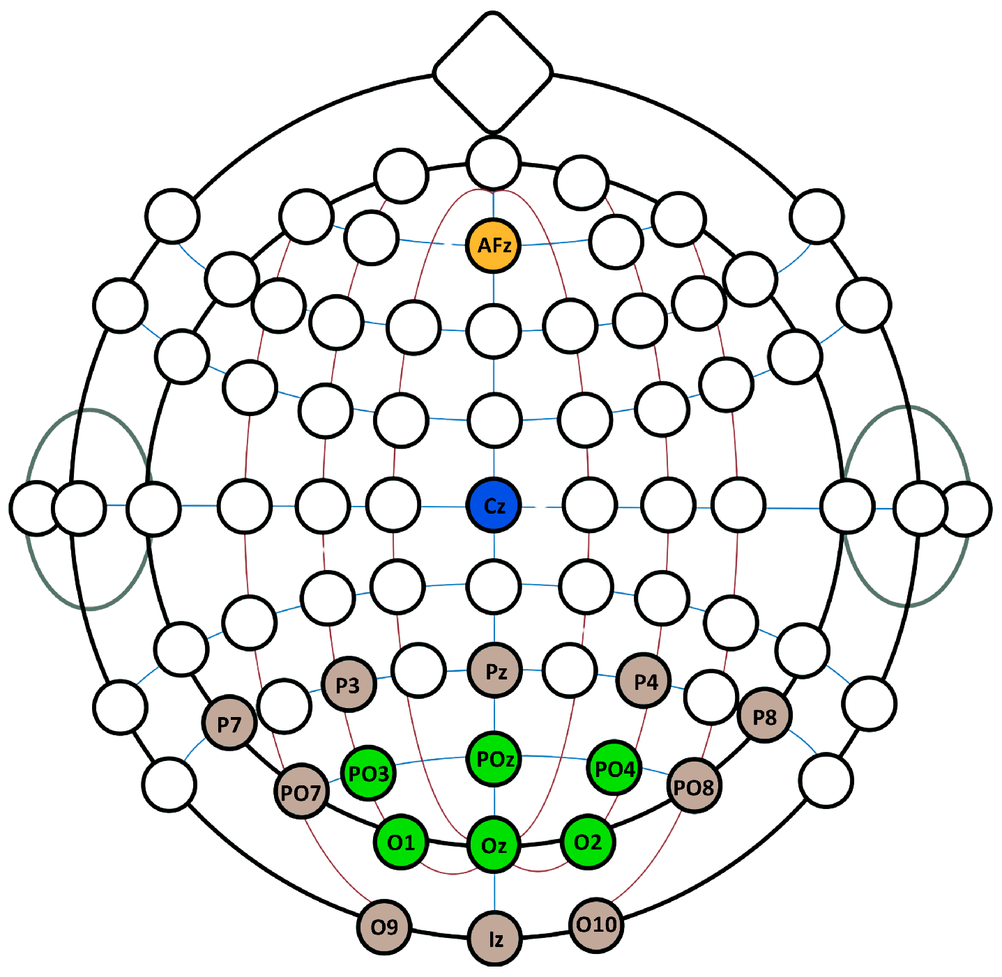 Brainsci 15 00549 g001