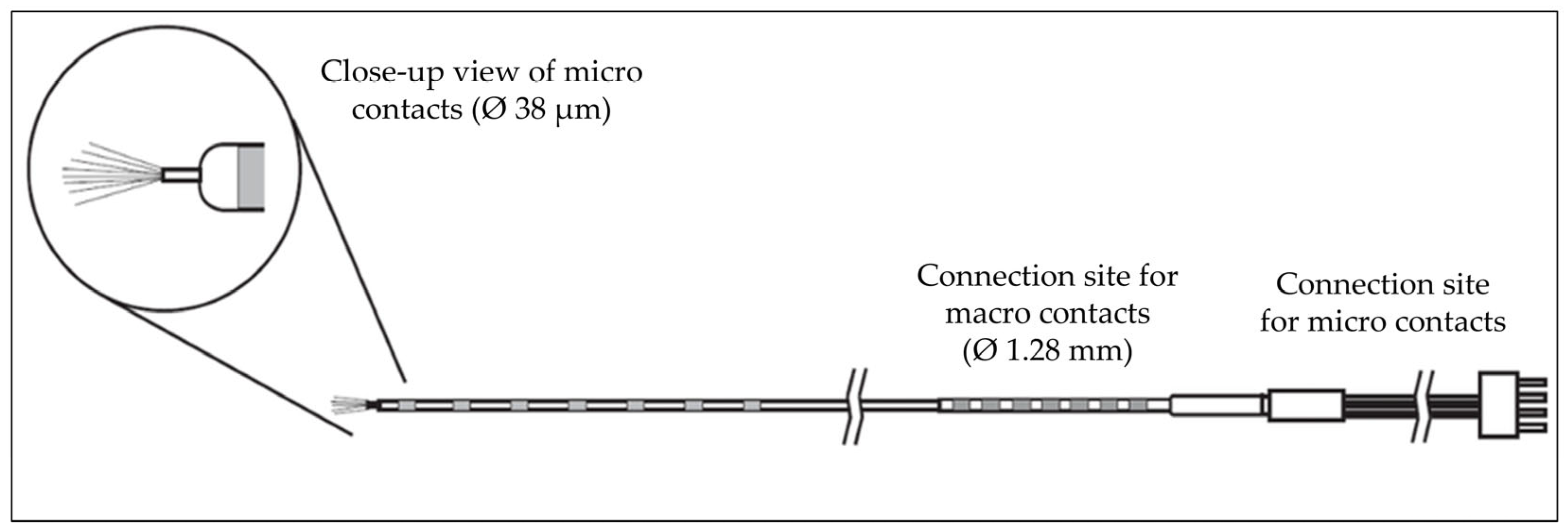 Brainsci 15 00550 g002