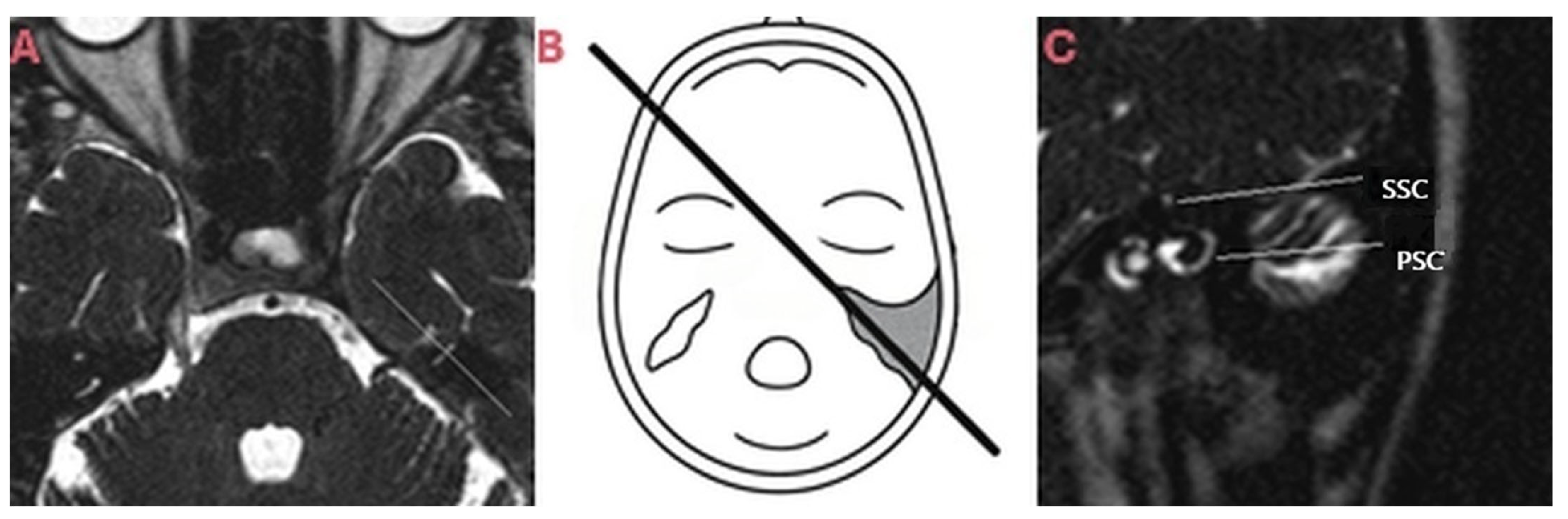 Brainsci 15 00555 g002