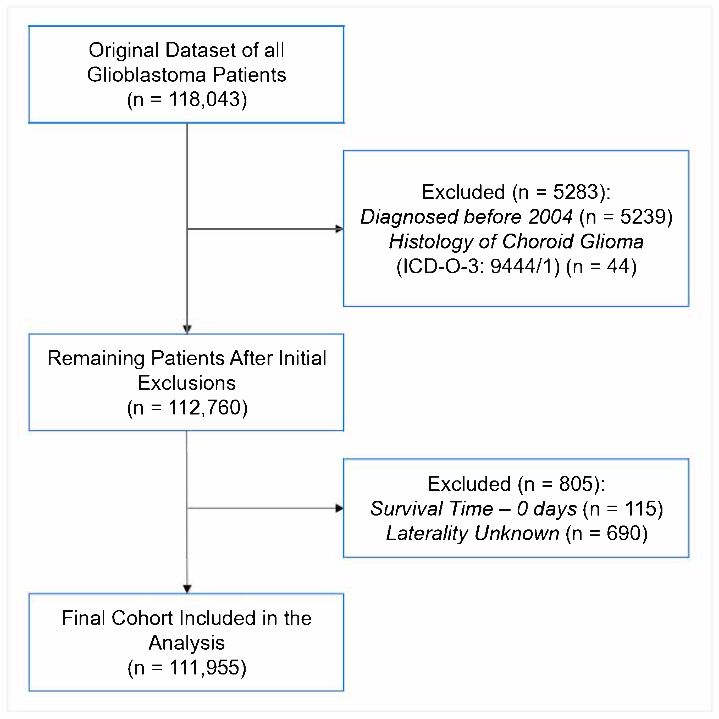 Brainsci 15 00556 g001