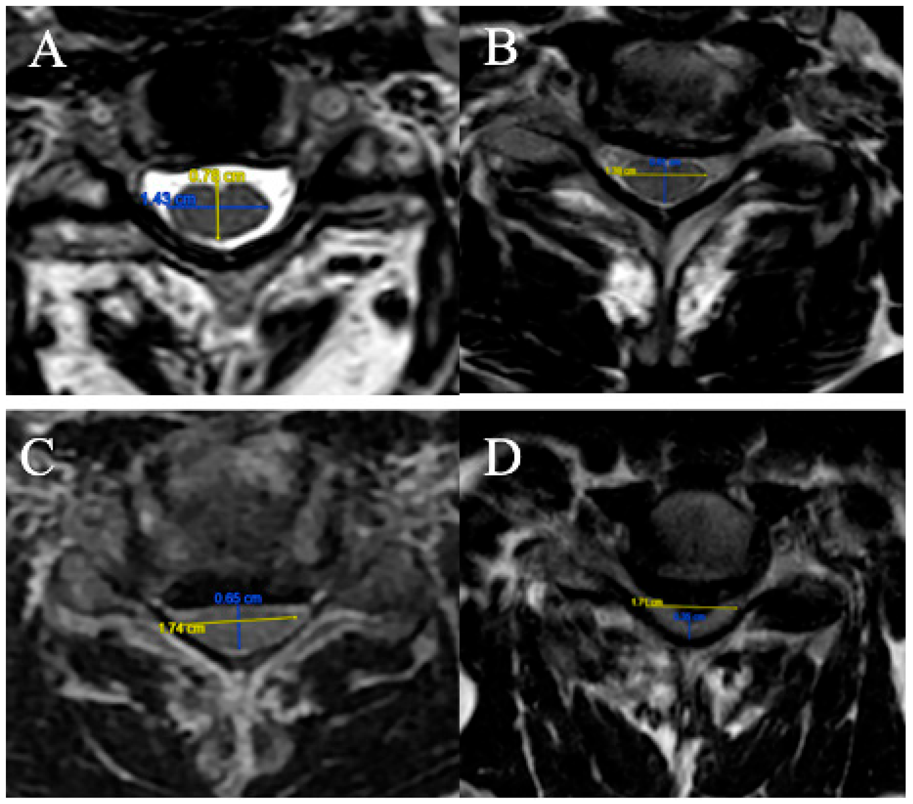 Brainsci 15 00557 g001