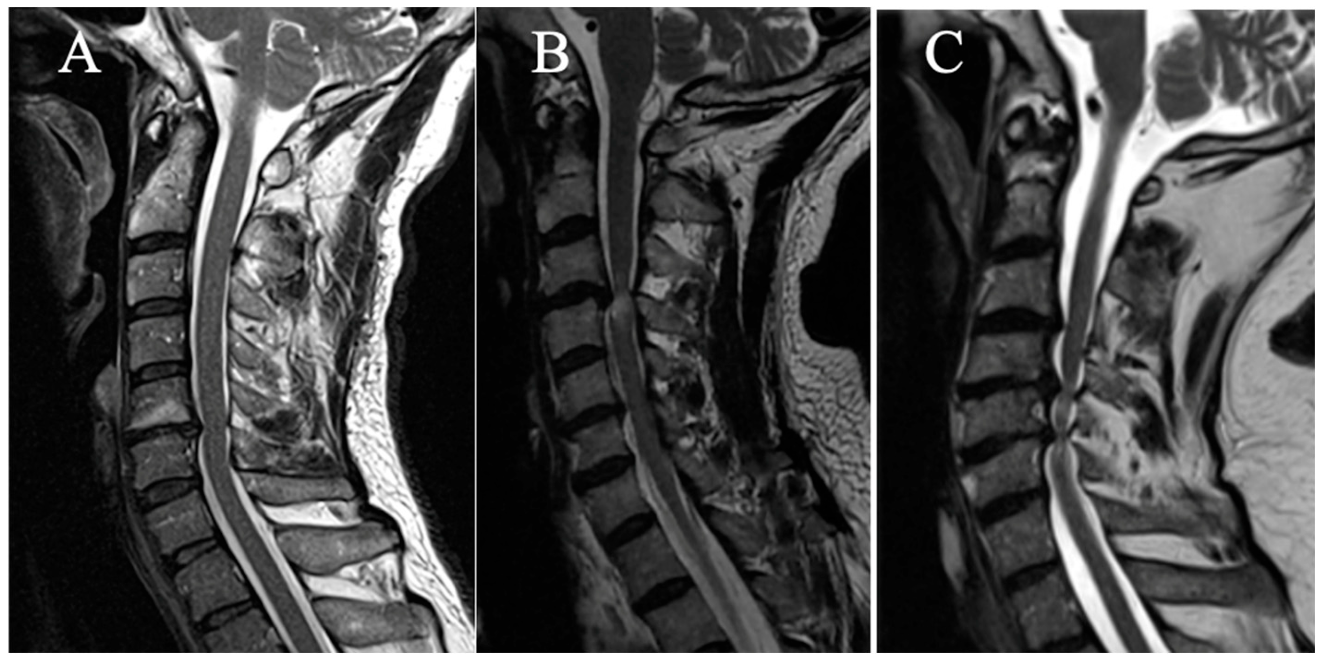 Brainsci 15 00557 g002
