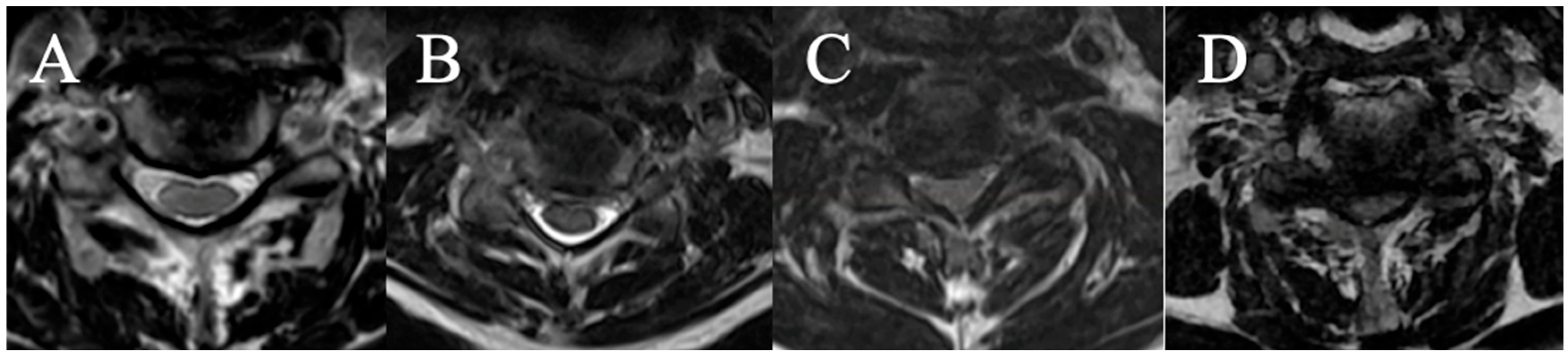 Brainsci 15 00557 g003