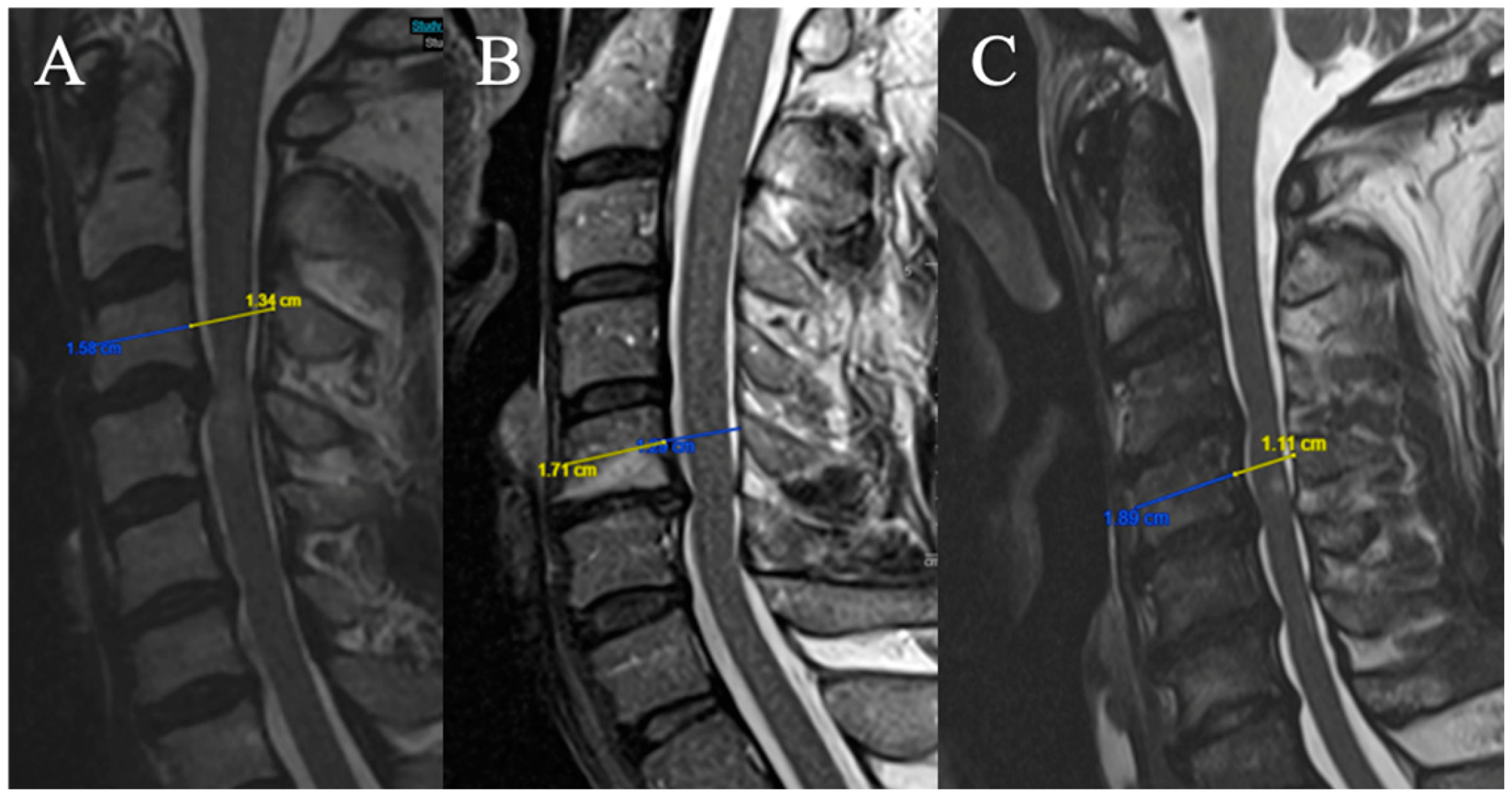Brainsci 15 00557 g004