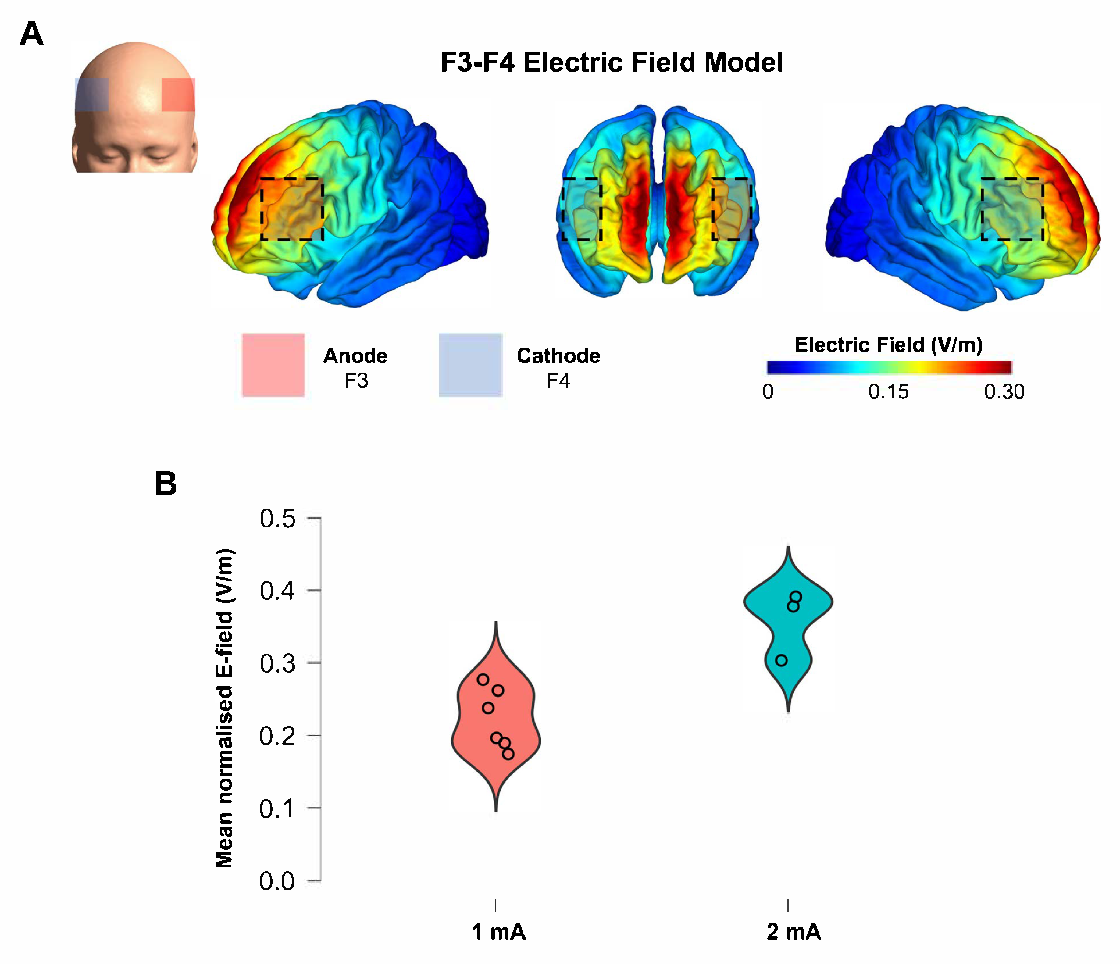 Brainsci 15 00561 g005