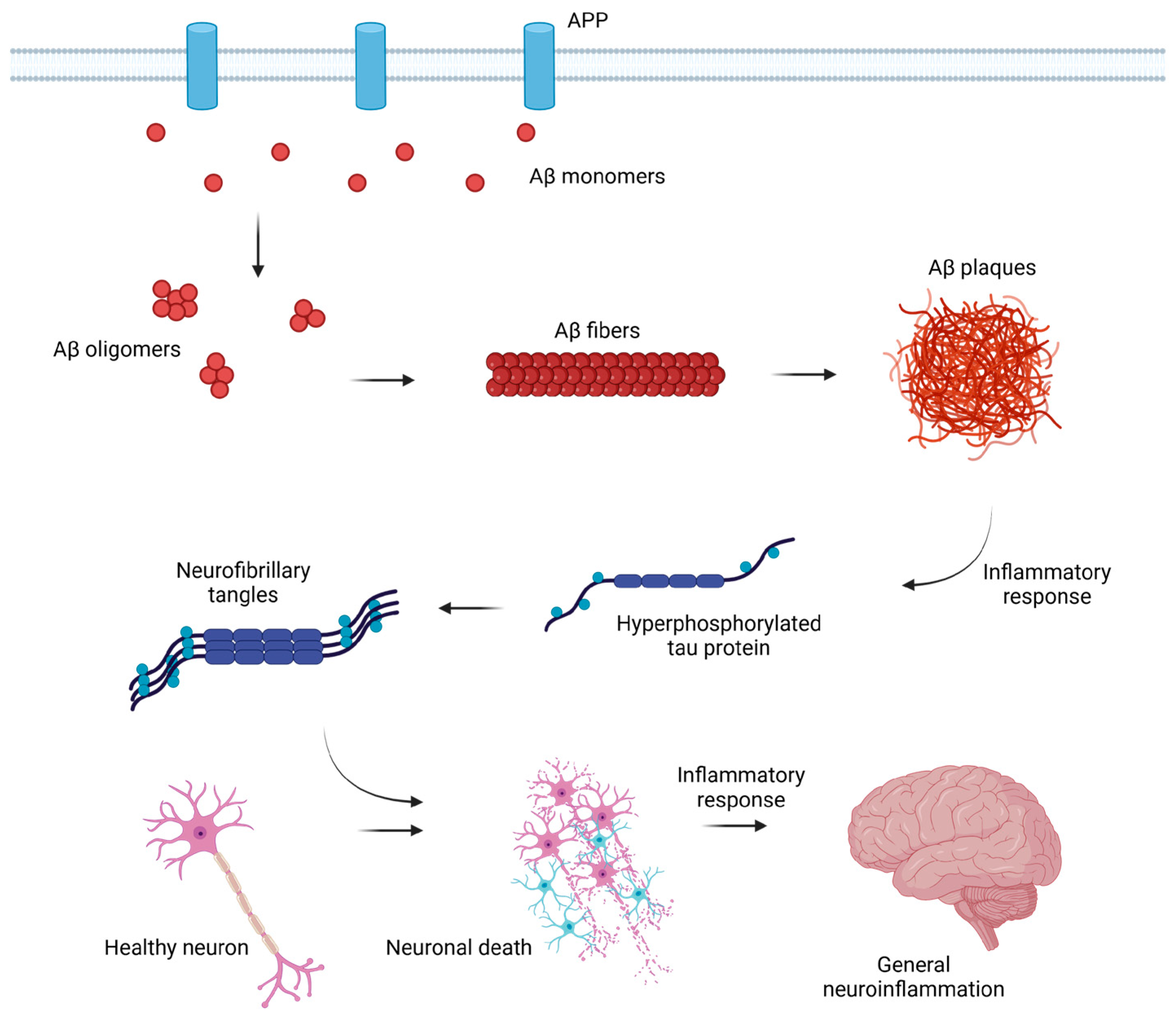 Brainsci 15 00570 g001