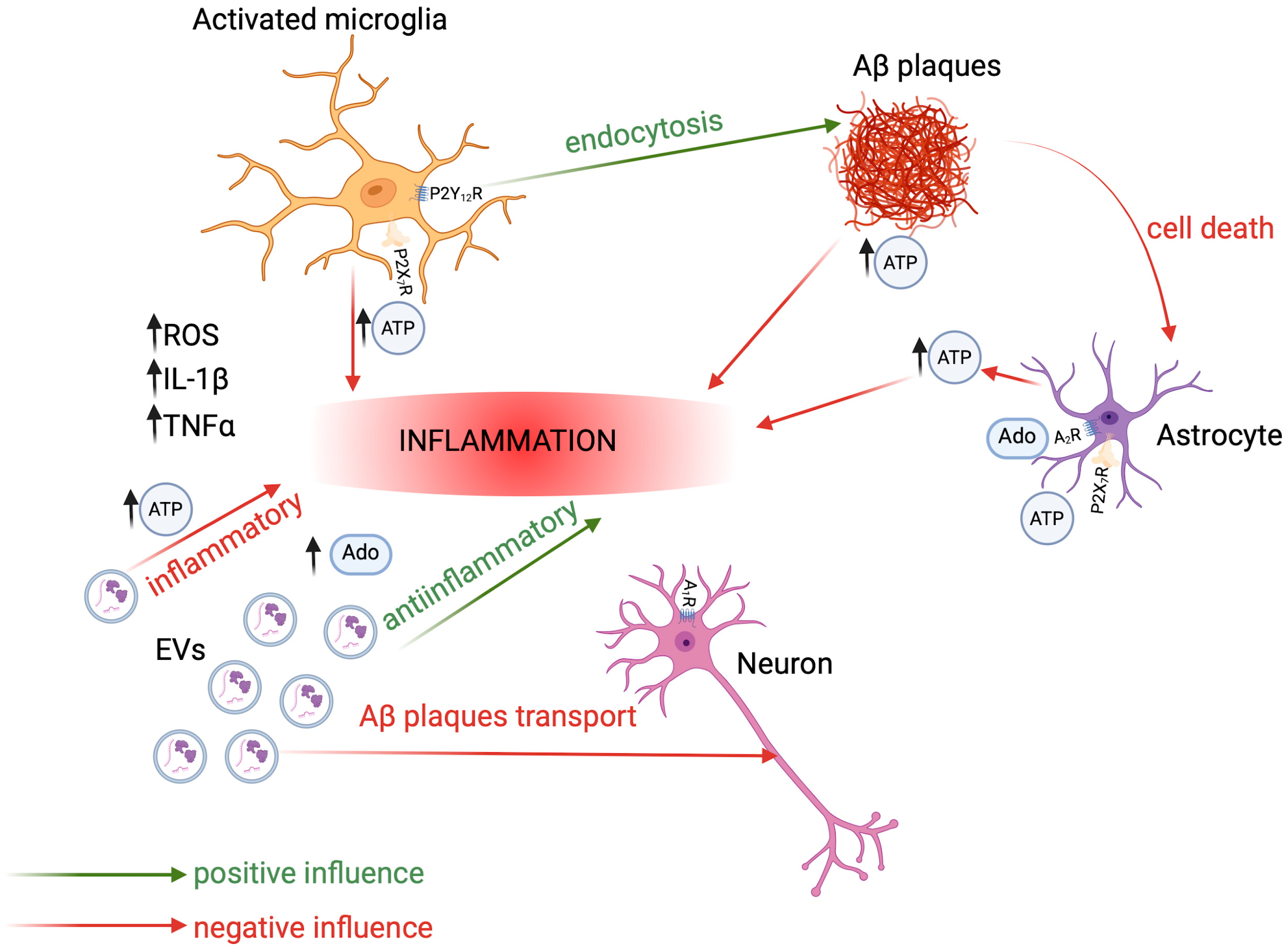 Brainsci 15 00570 g005