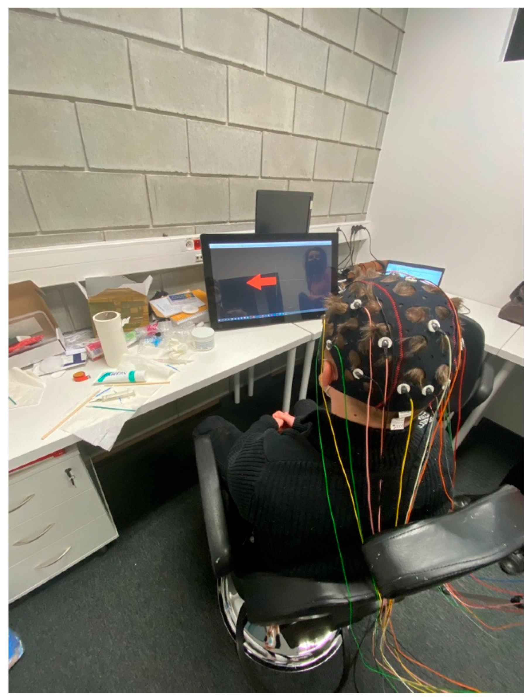 Brainsci 15 00571 g001