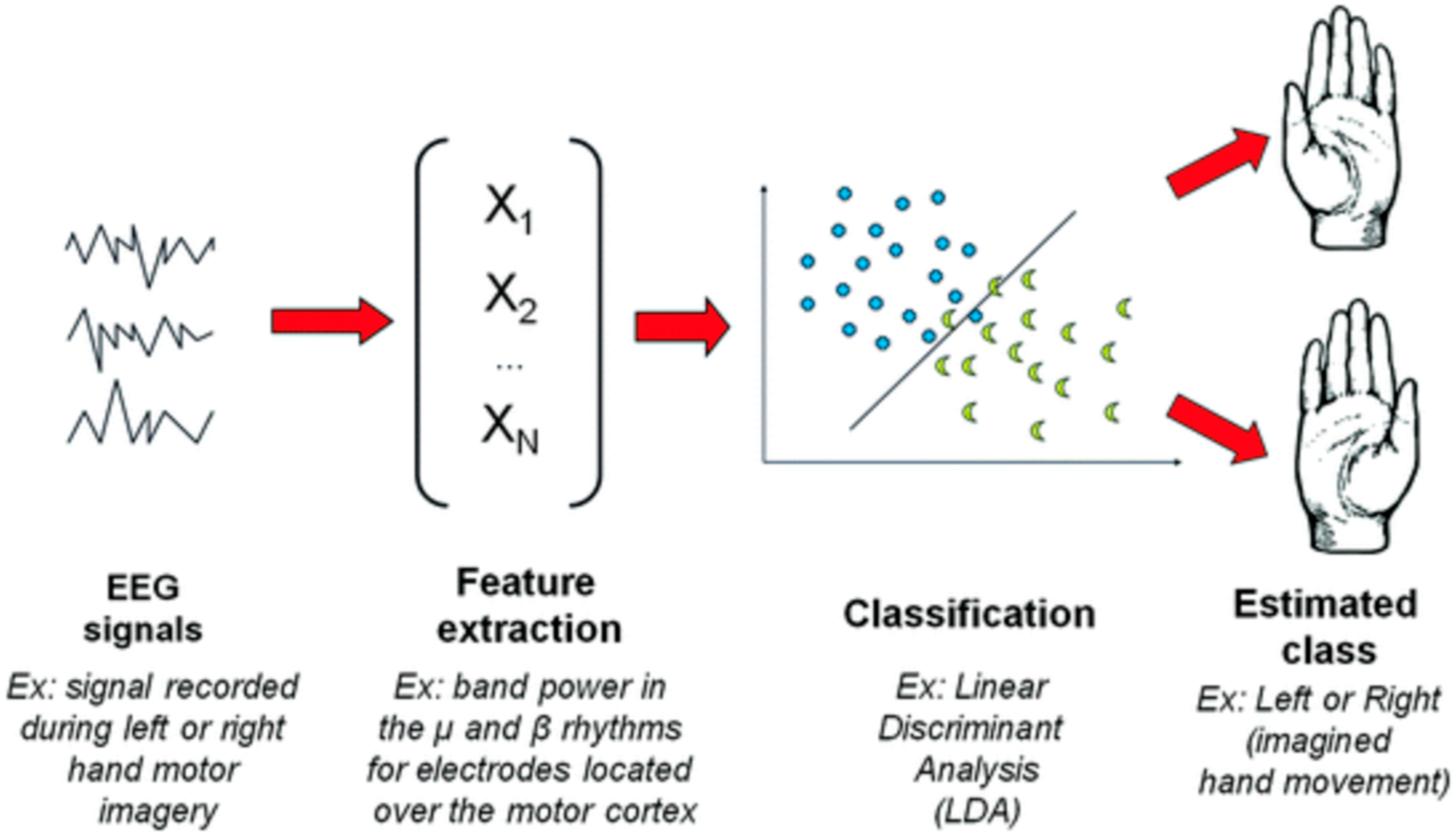 Brainsci 15 00571 g003