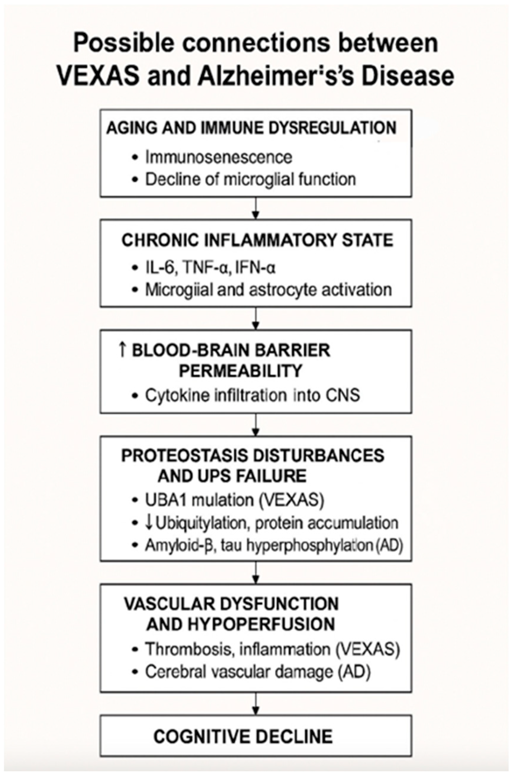 Brainsci 15 00573 g003