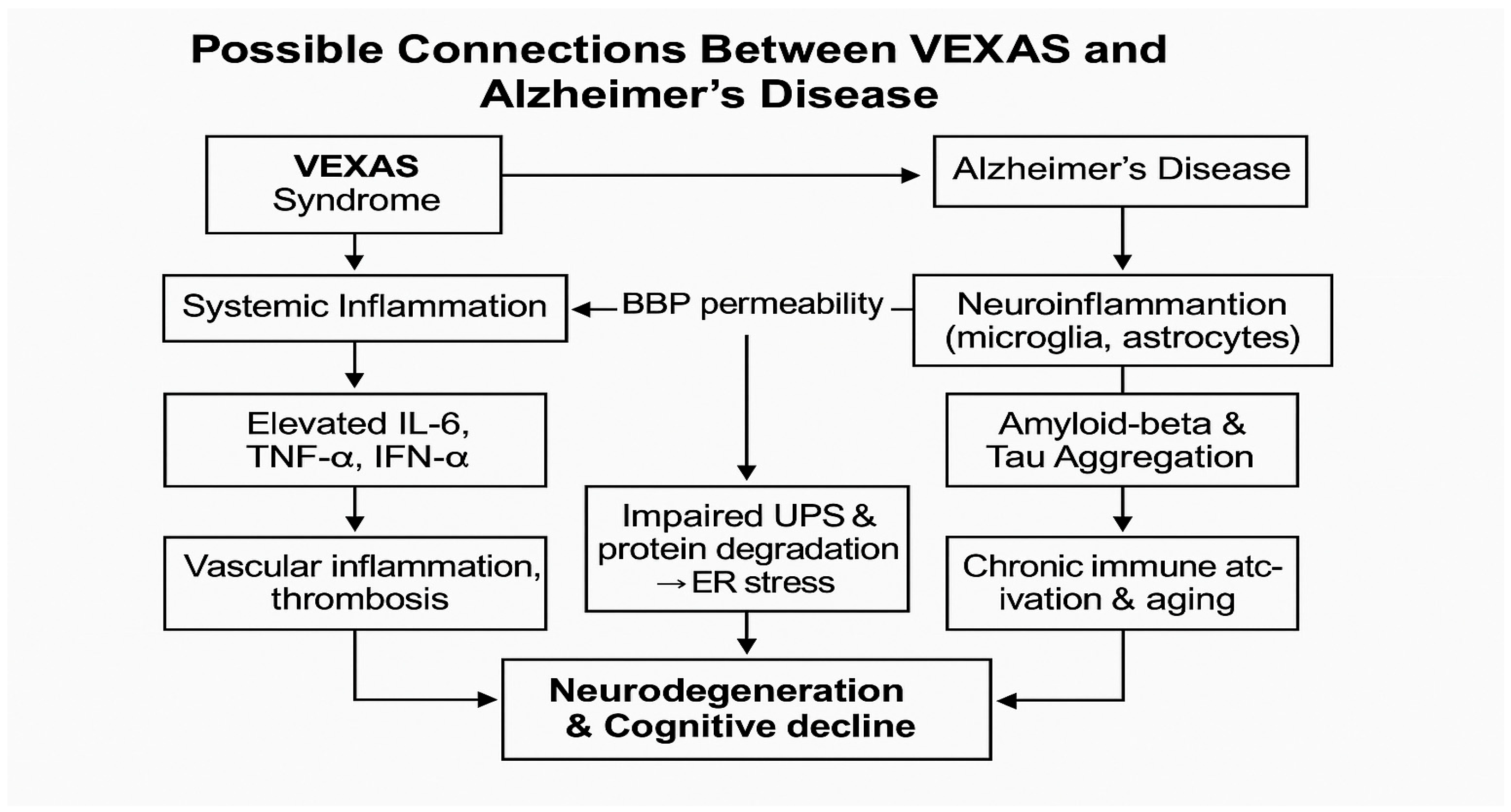 Brainsci 15 00573 g004