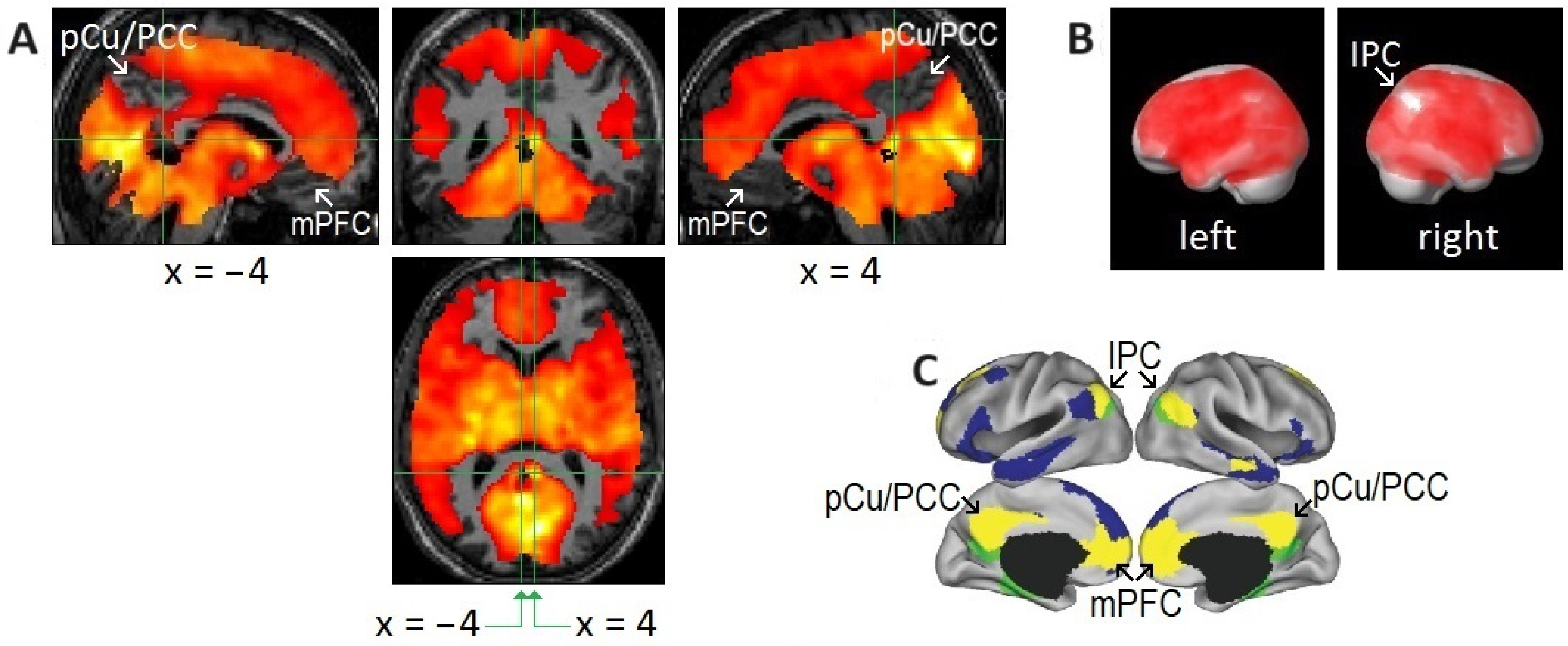 Brainsci 15 00574 g003