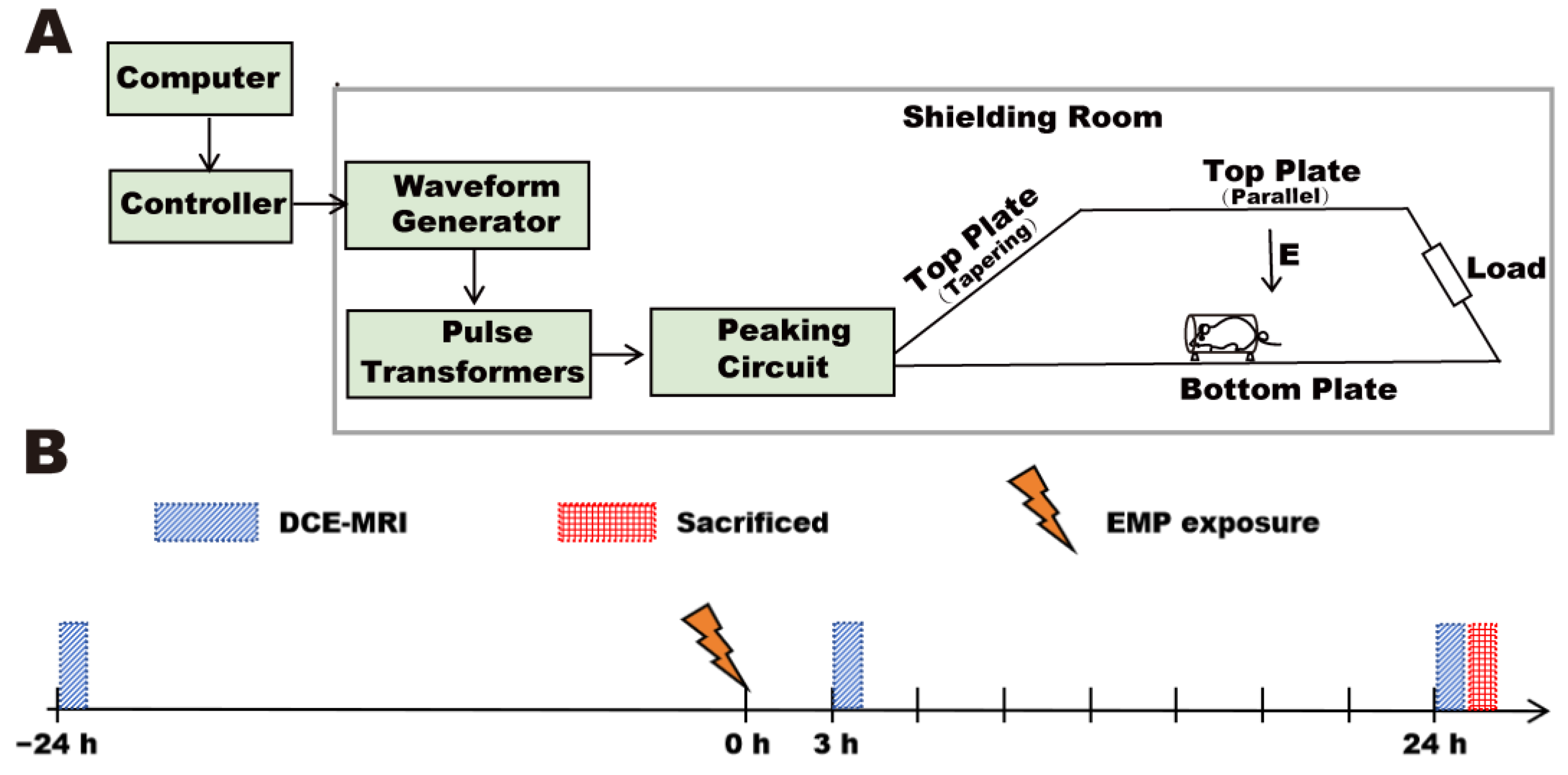 Brainsci 15 00577 g001