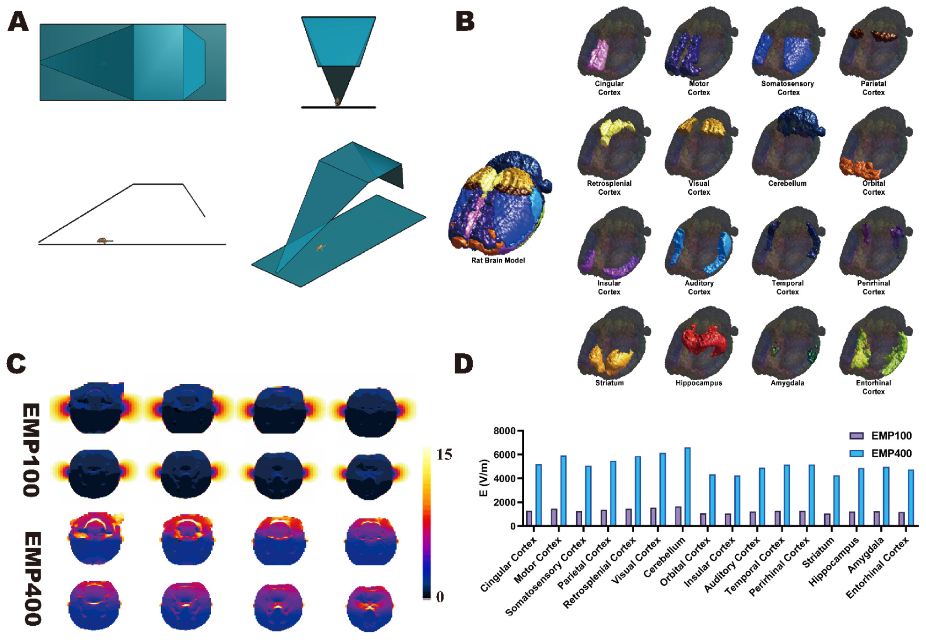 Brainsci 15 00577 g002