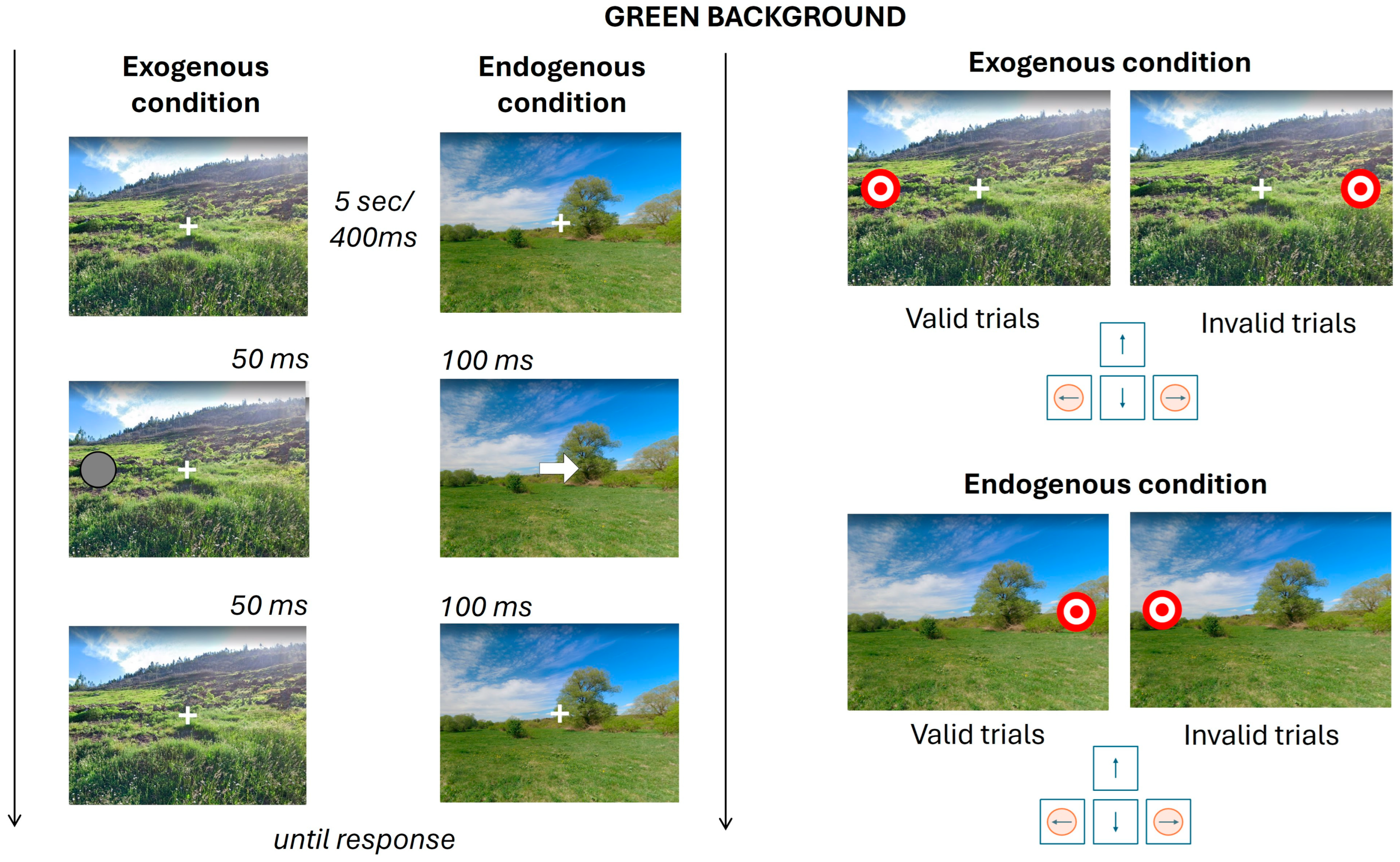 Brainsci 15 00578 g002 Brainsci 15 00578 g002