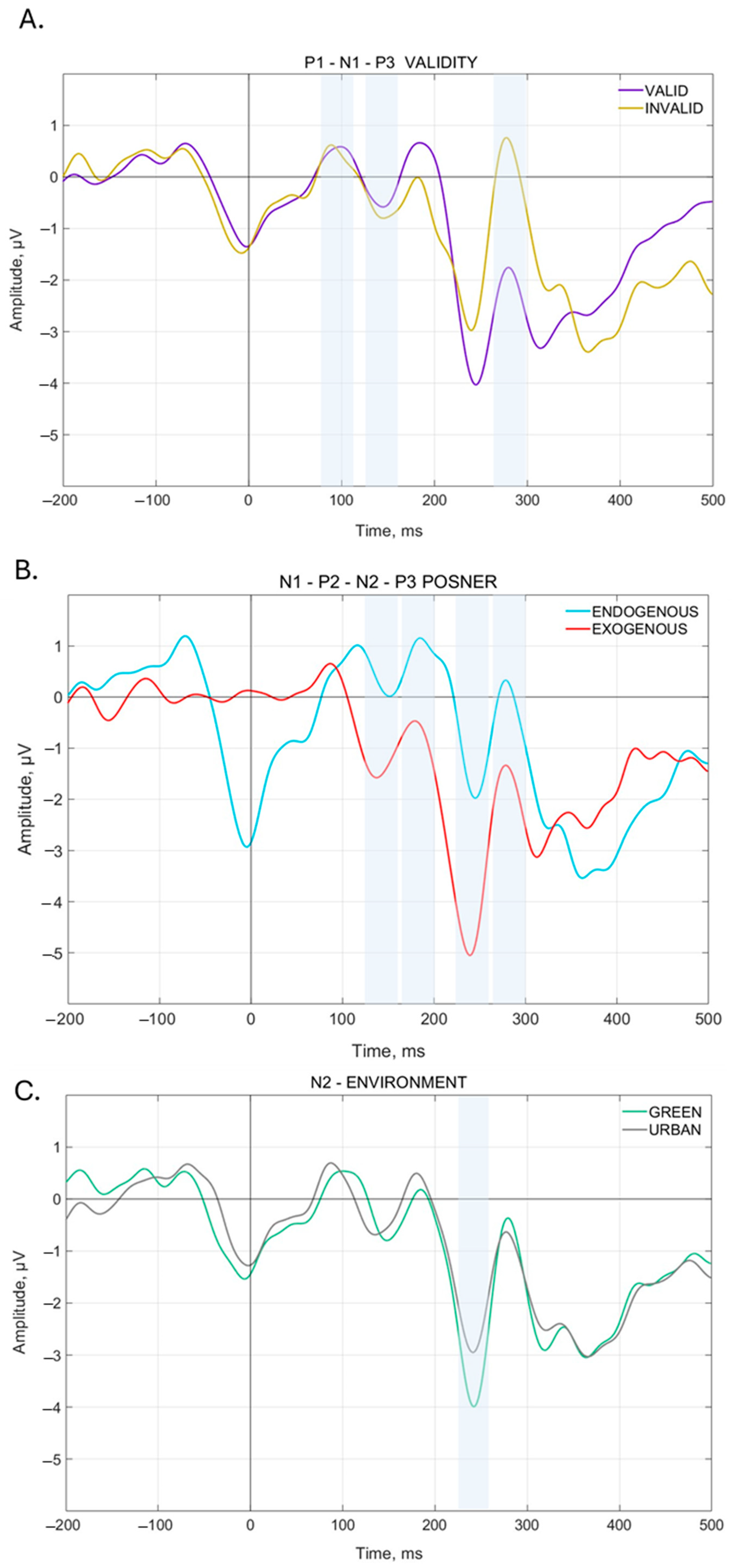 Brainsci 15 00578 g004 Brainsci 15 00578 g004