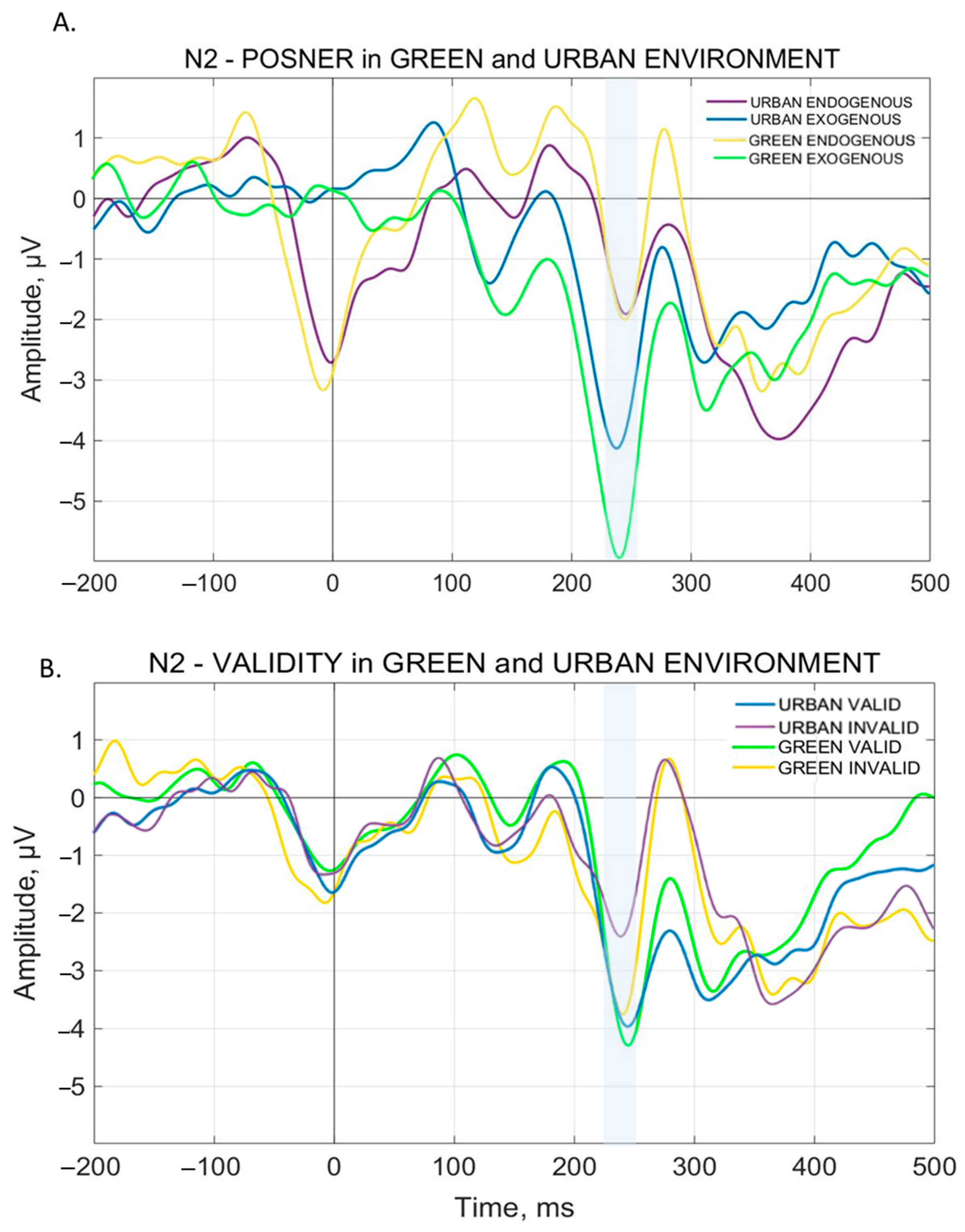 Brainsci 15 00578 g006 Brainsci 15 00578 g006