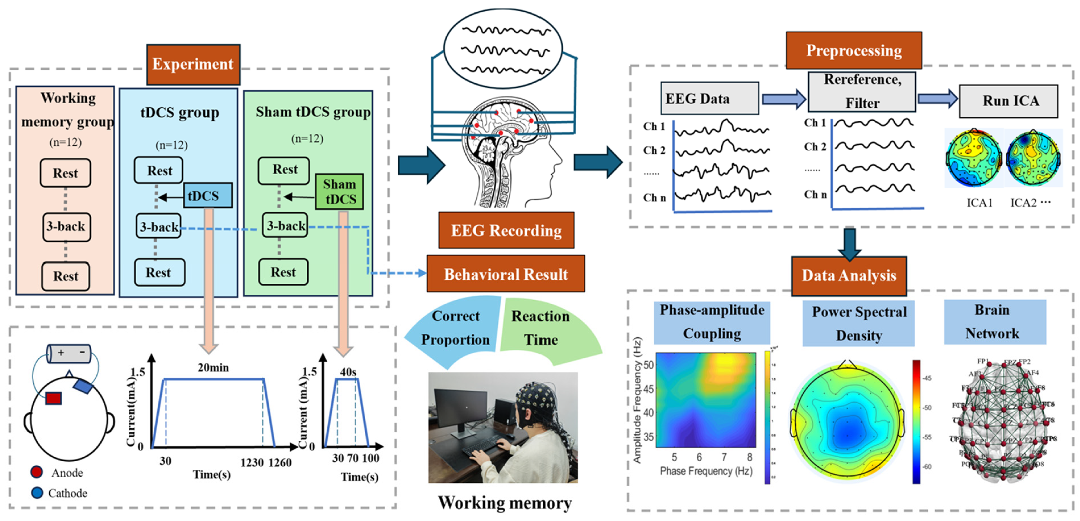 Brainsci 15 00579 g001