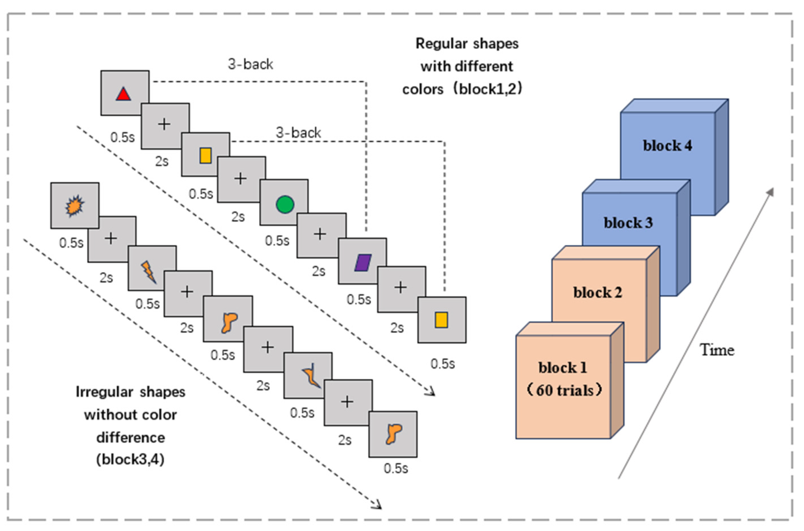 Brainsci 15 00579 g002