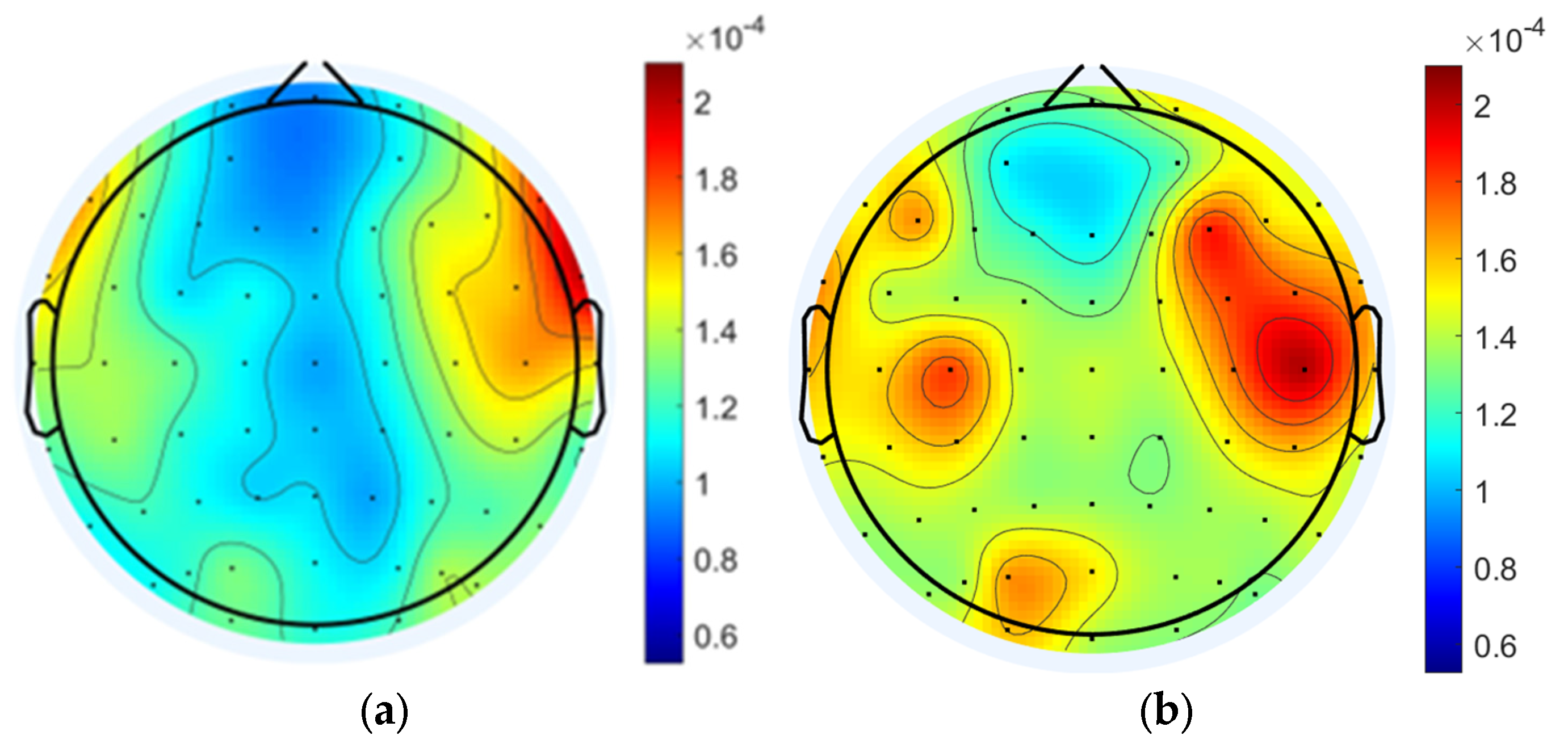 Brainsci 15 00579 g008a