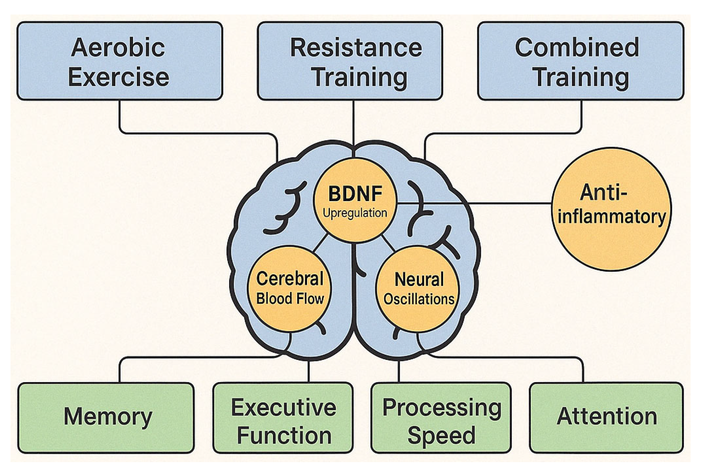 Brainsci 15 00582 g016