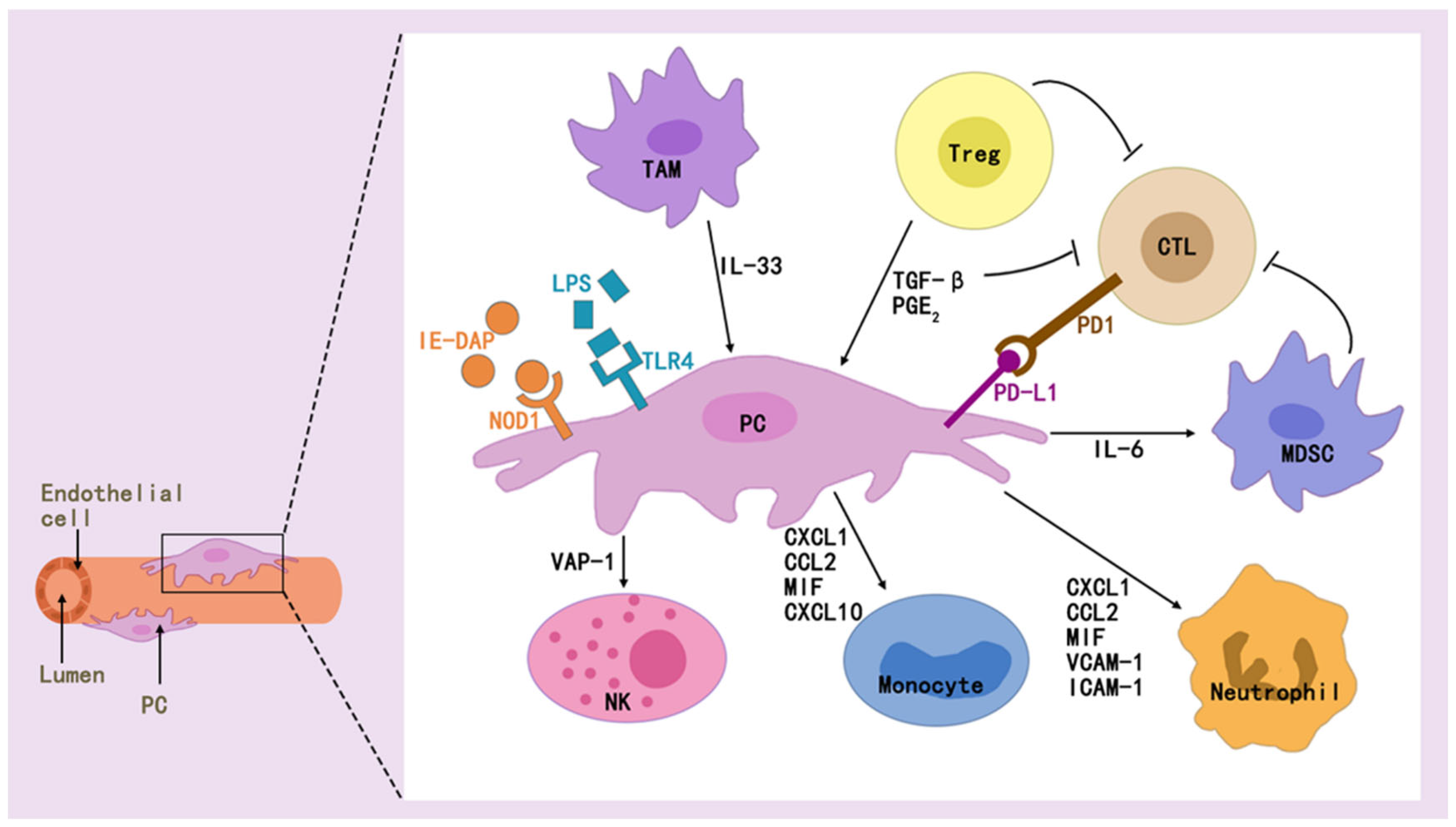 Brainsci 15 00605 g004