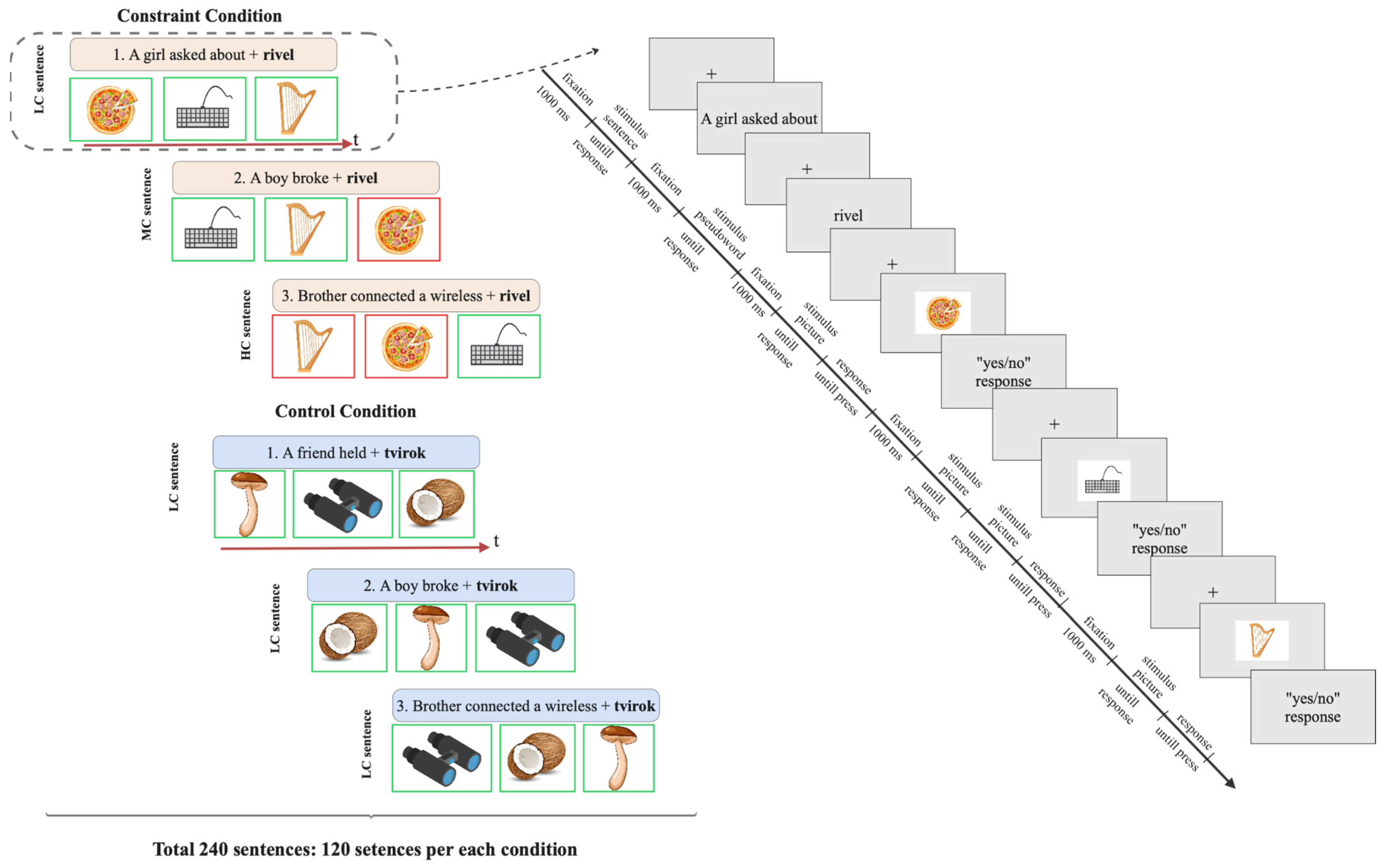 Brainsci 15 00607 g001