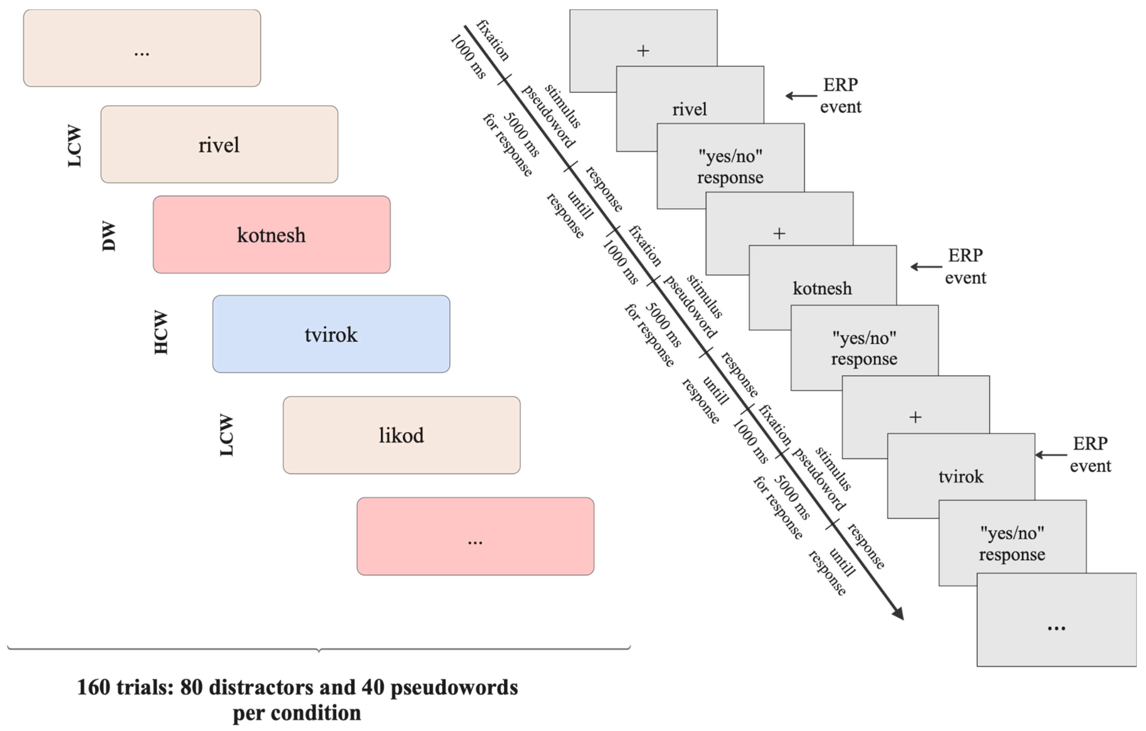 Brainsci 15 00607 g002