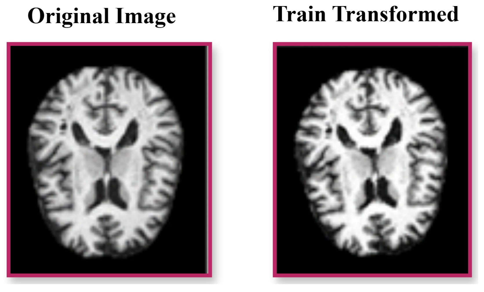 Brainsci 15 00612 g002