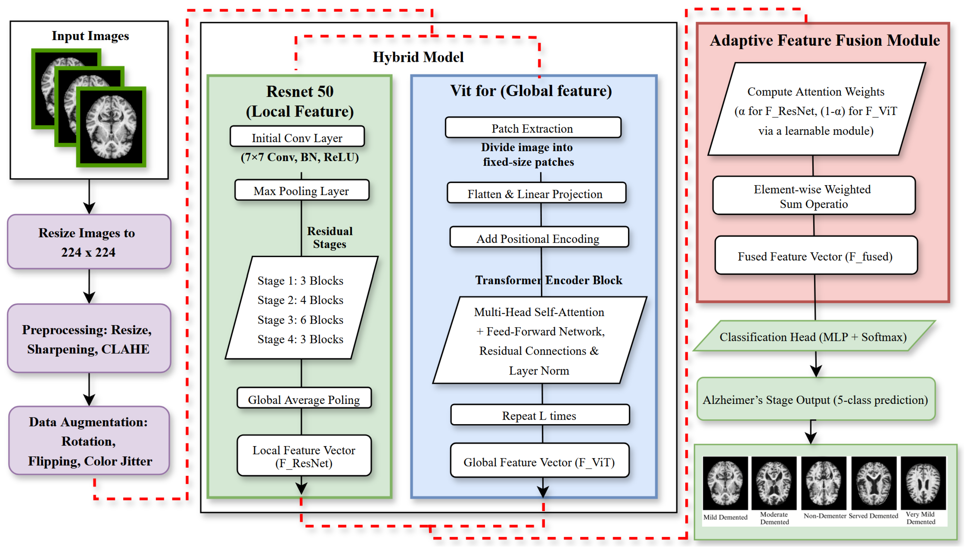 Brainsci 15 00612 g003