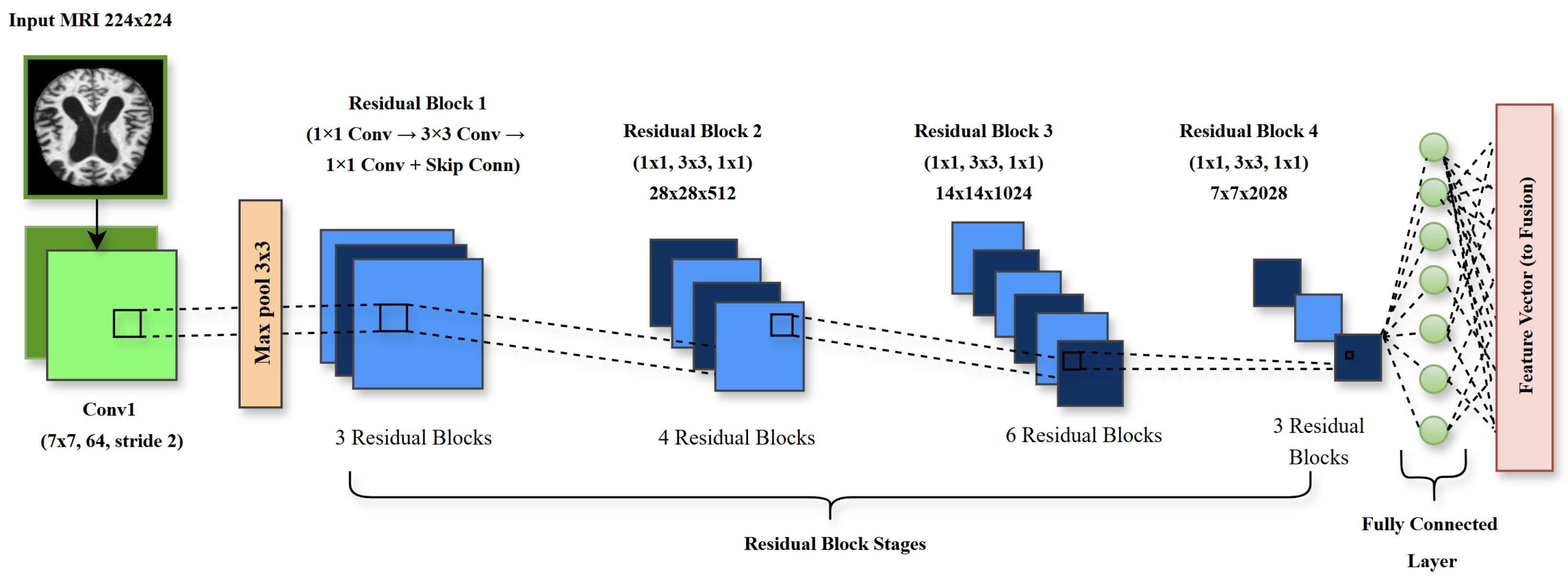 Brainsci 15 00612 g004