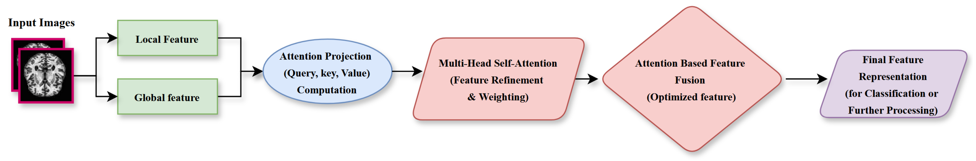 Brainsci 15 00612 g006