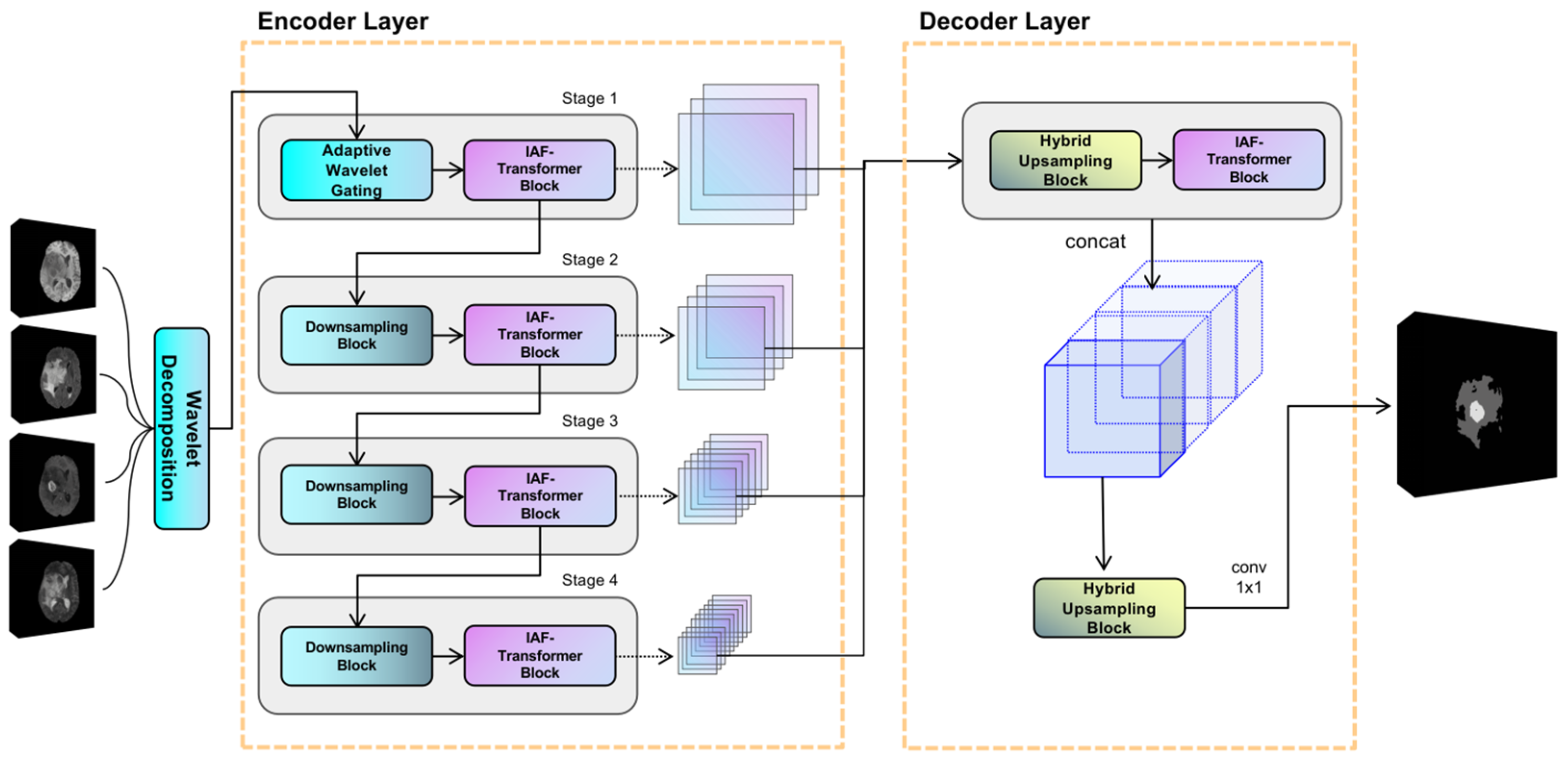 Brainsci 15 00613 g001
