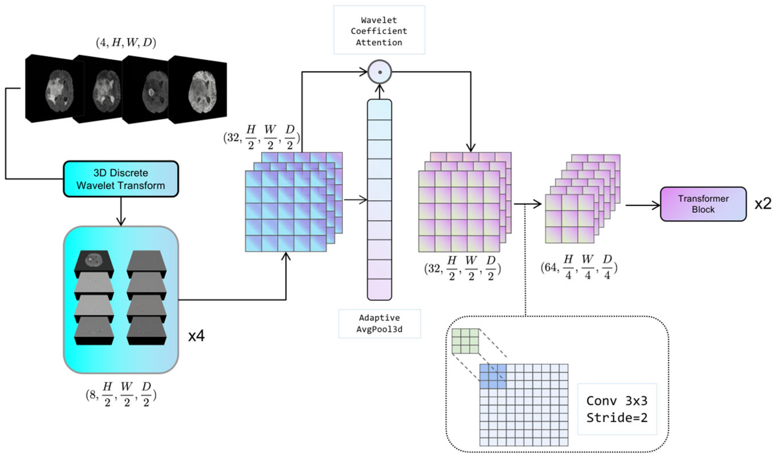 Brainsci 15 00613 g002
