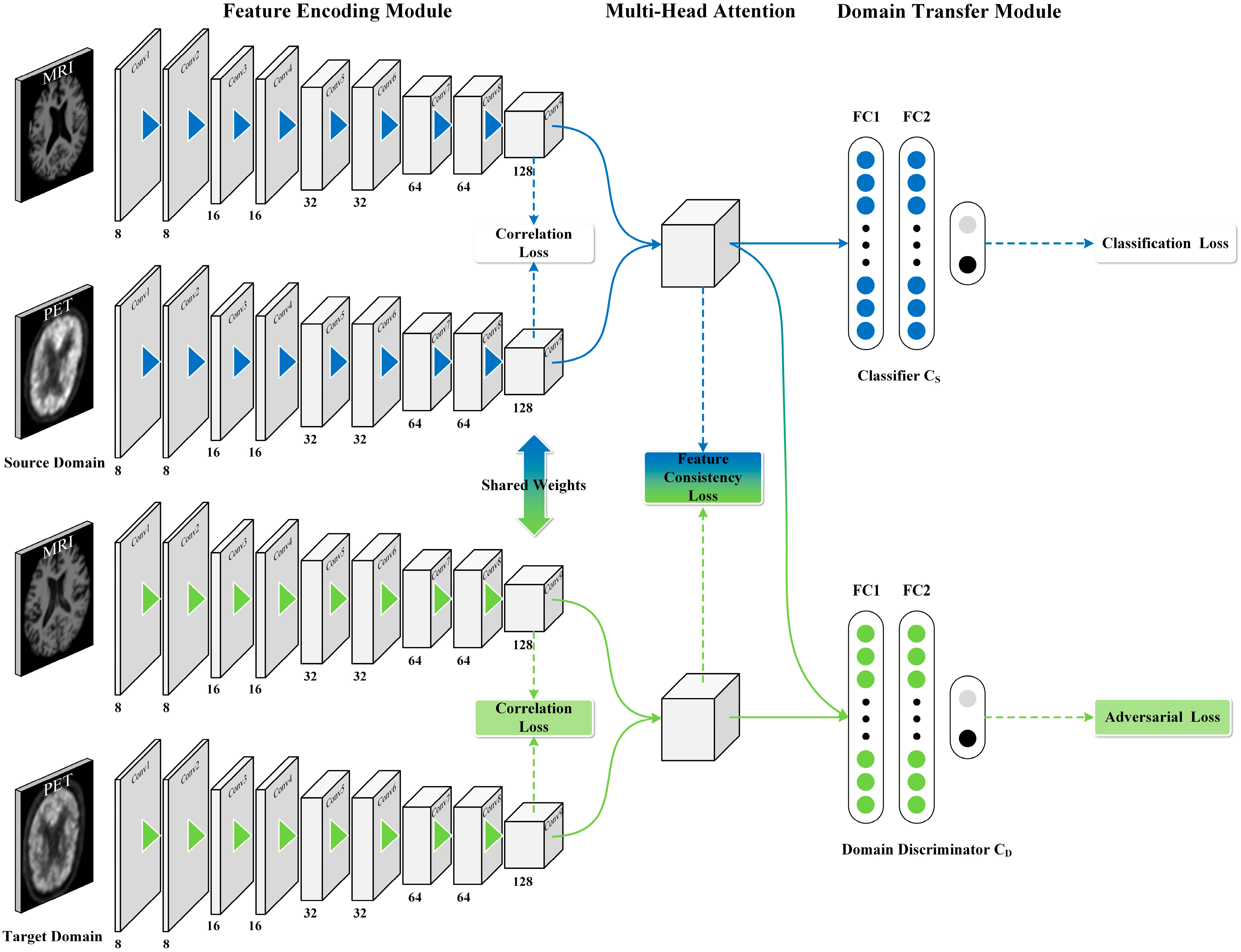Brainsci 15 00618 g001