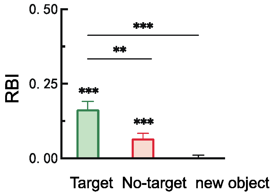 Brainsci 15 00633 g003
