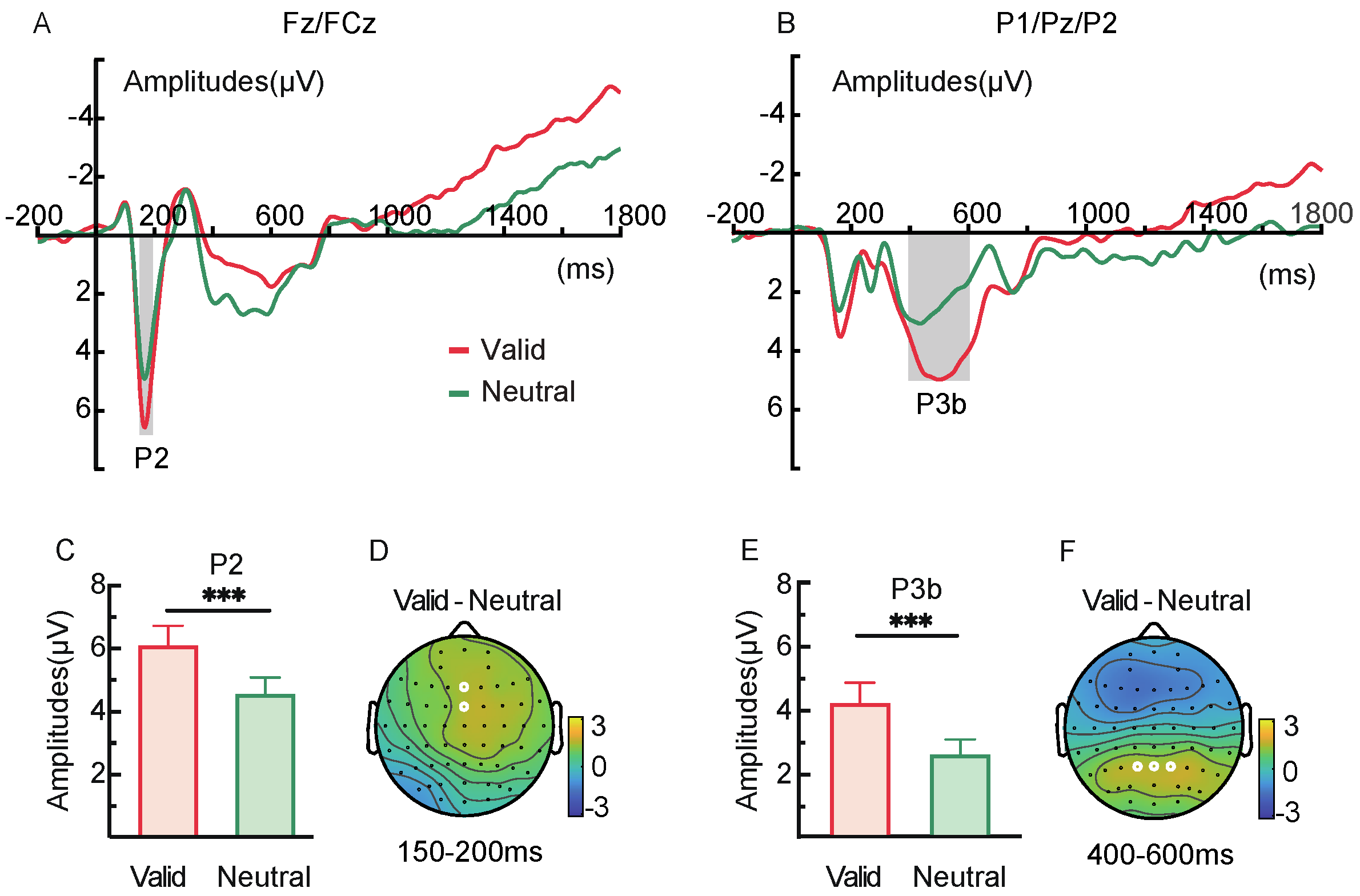 Brainsci 15 00633 g004
