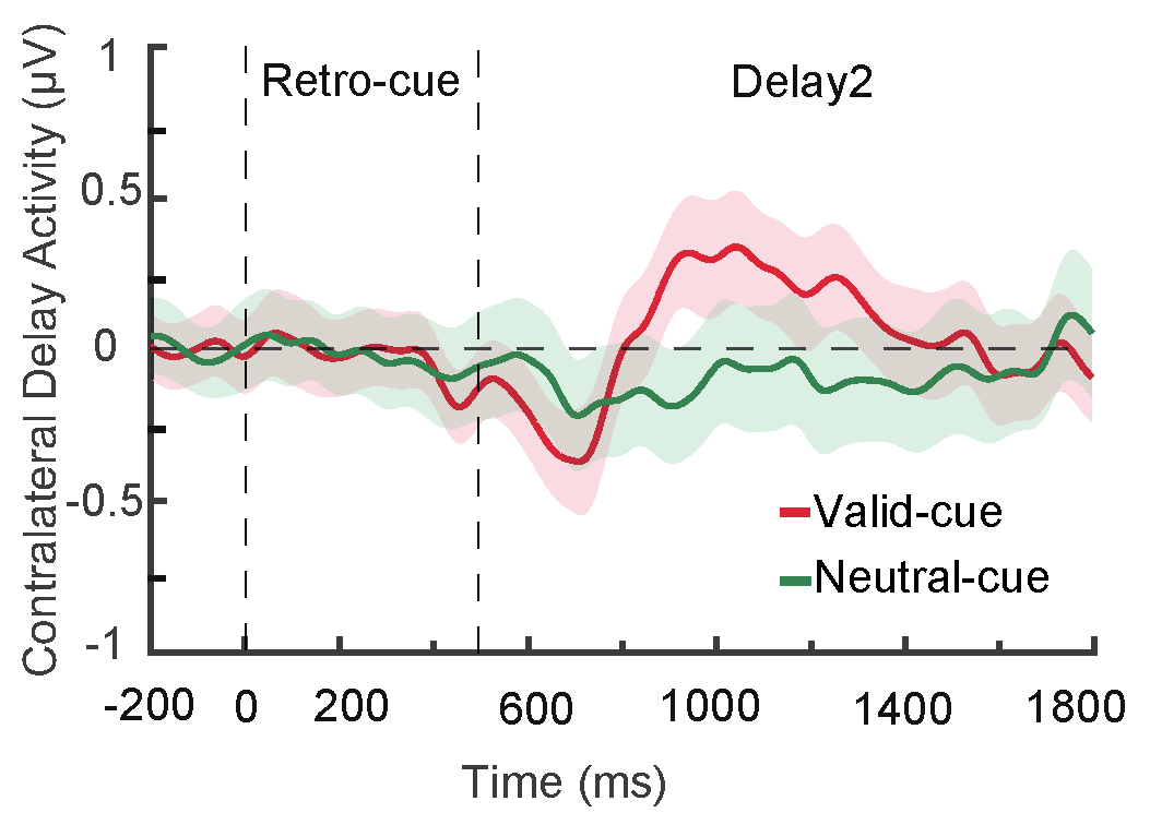 Brainsci 15 00633 g005