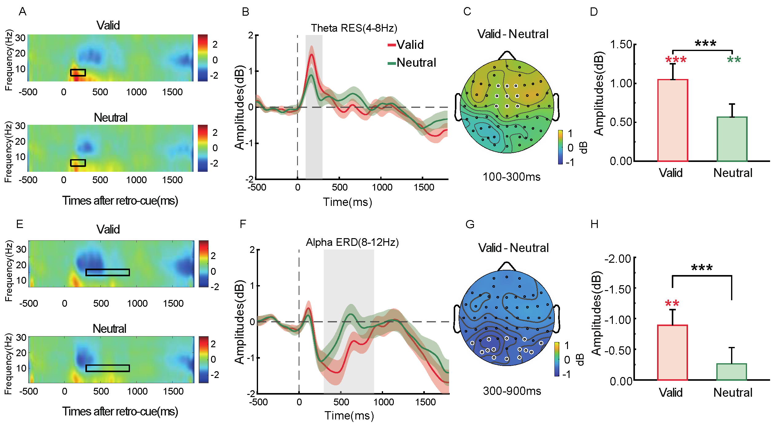 Brainsci 15 00633 g006