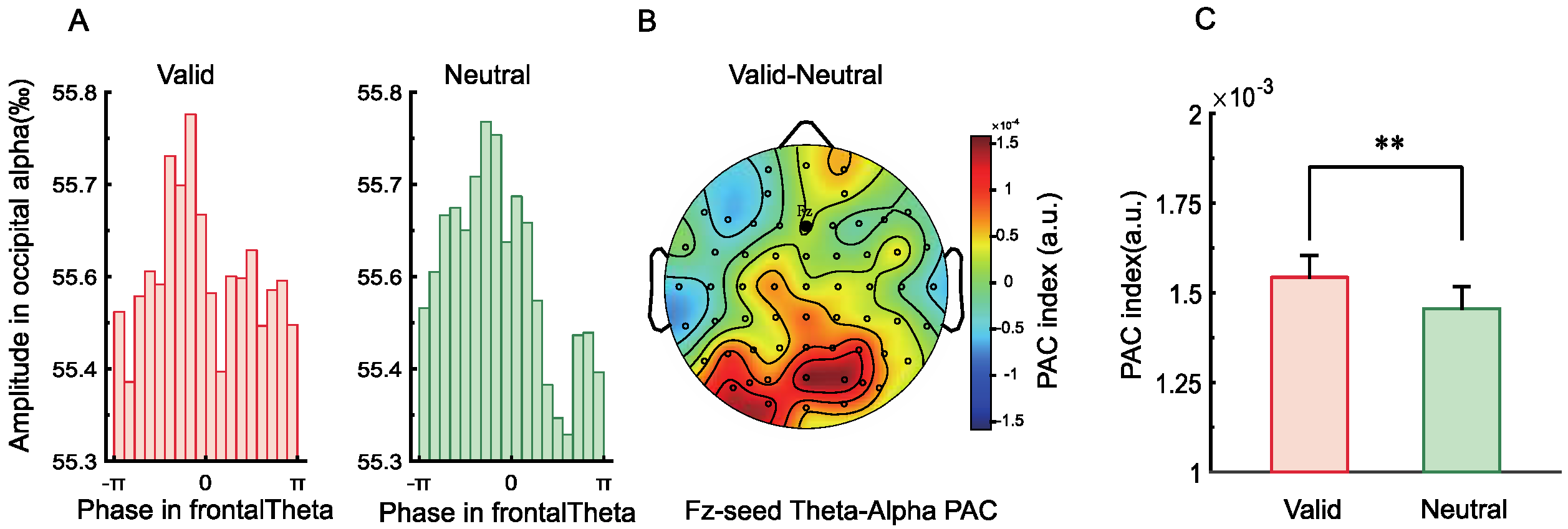 Brainsci 15 00633 g007