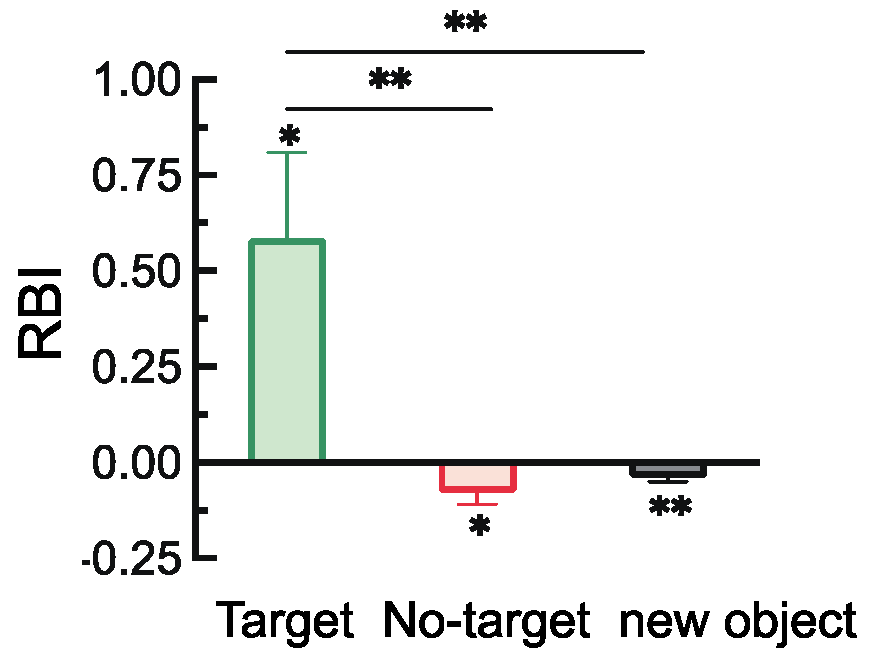 Brainsci 15 00633 g011