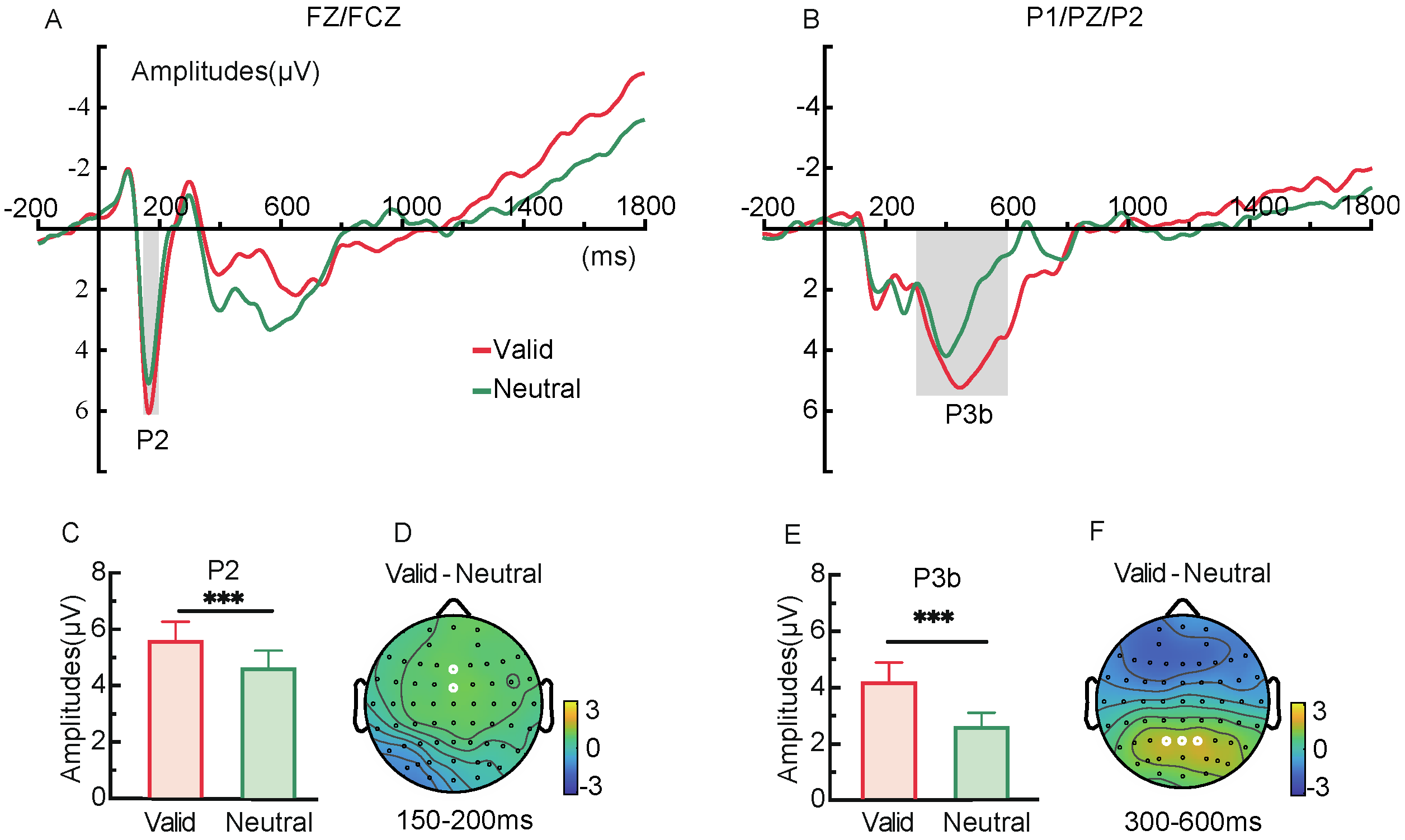 Brainsci 15 00633 g012