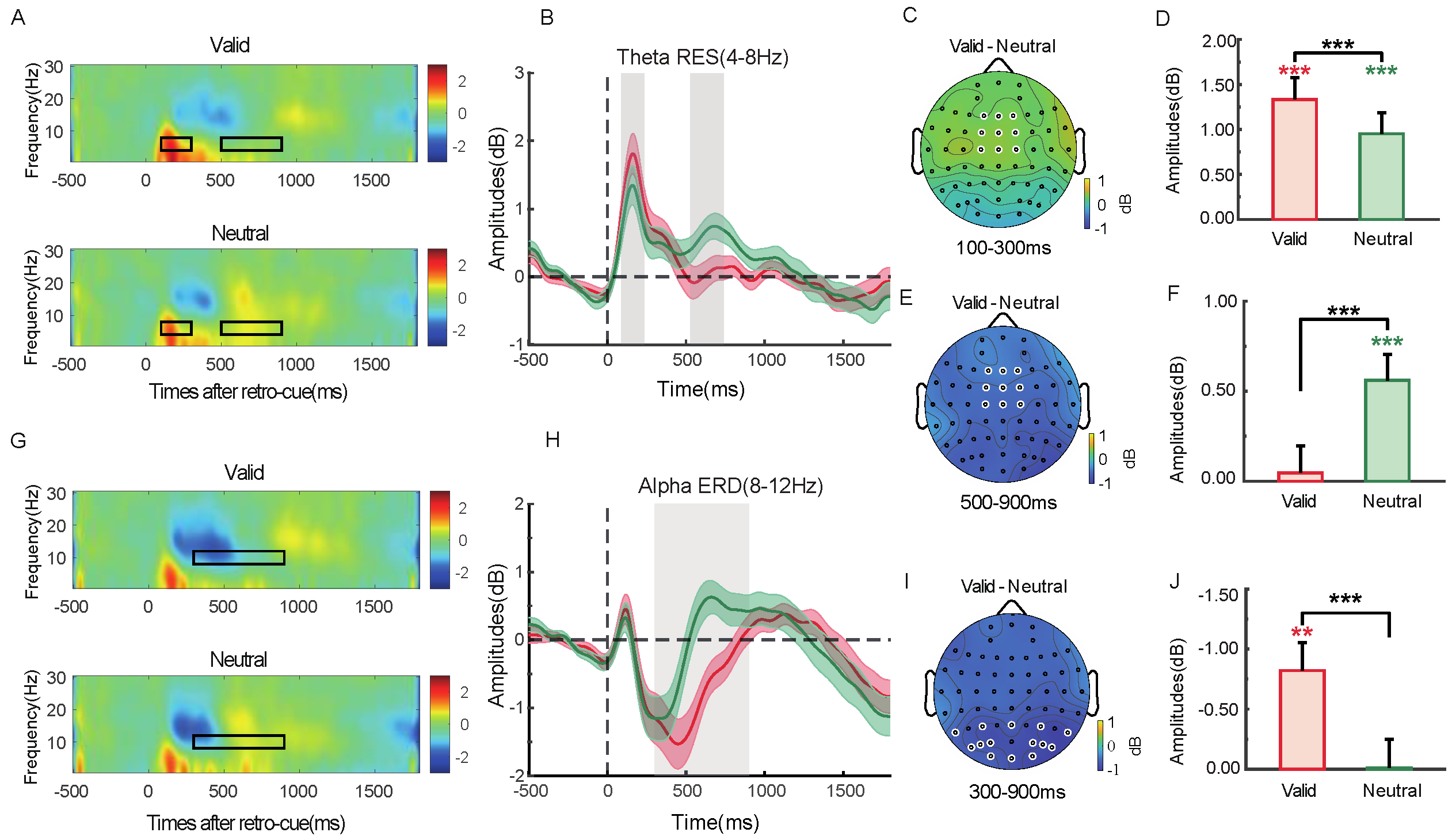 Brainsci 15 00633 g014