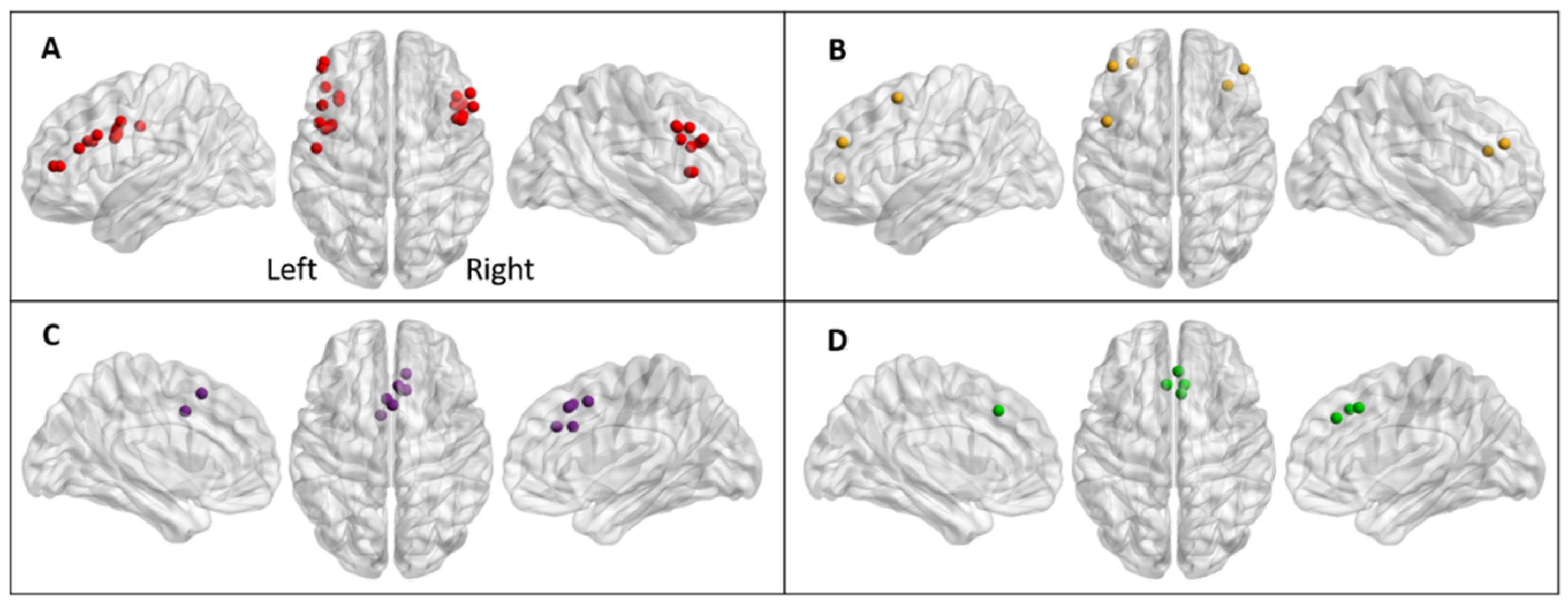 Brainsci 15 00635 g001